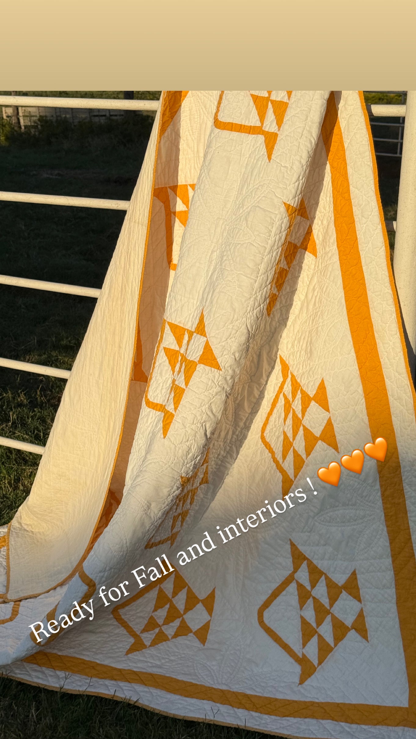 Pieced and Appliqué Basket Quilt