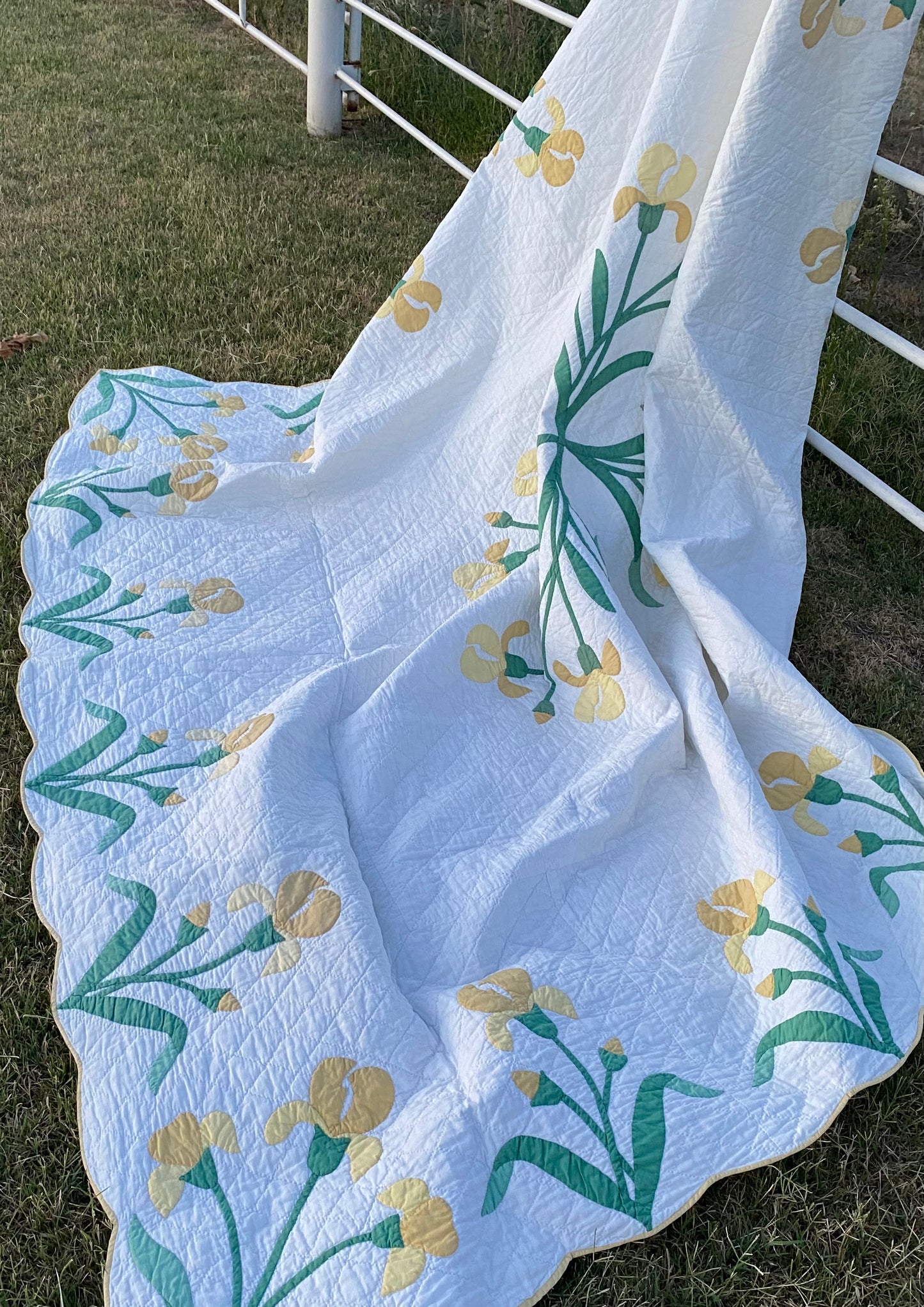 The Iris Quilt- Sold