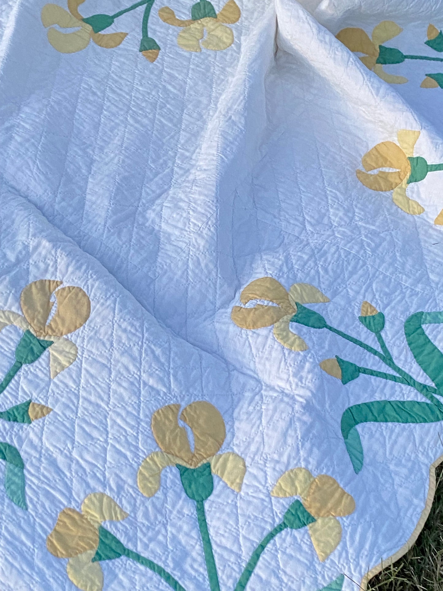 The Iris Quilt- Sold