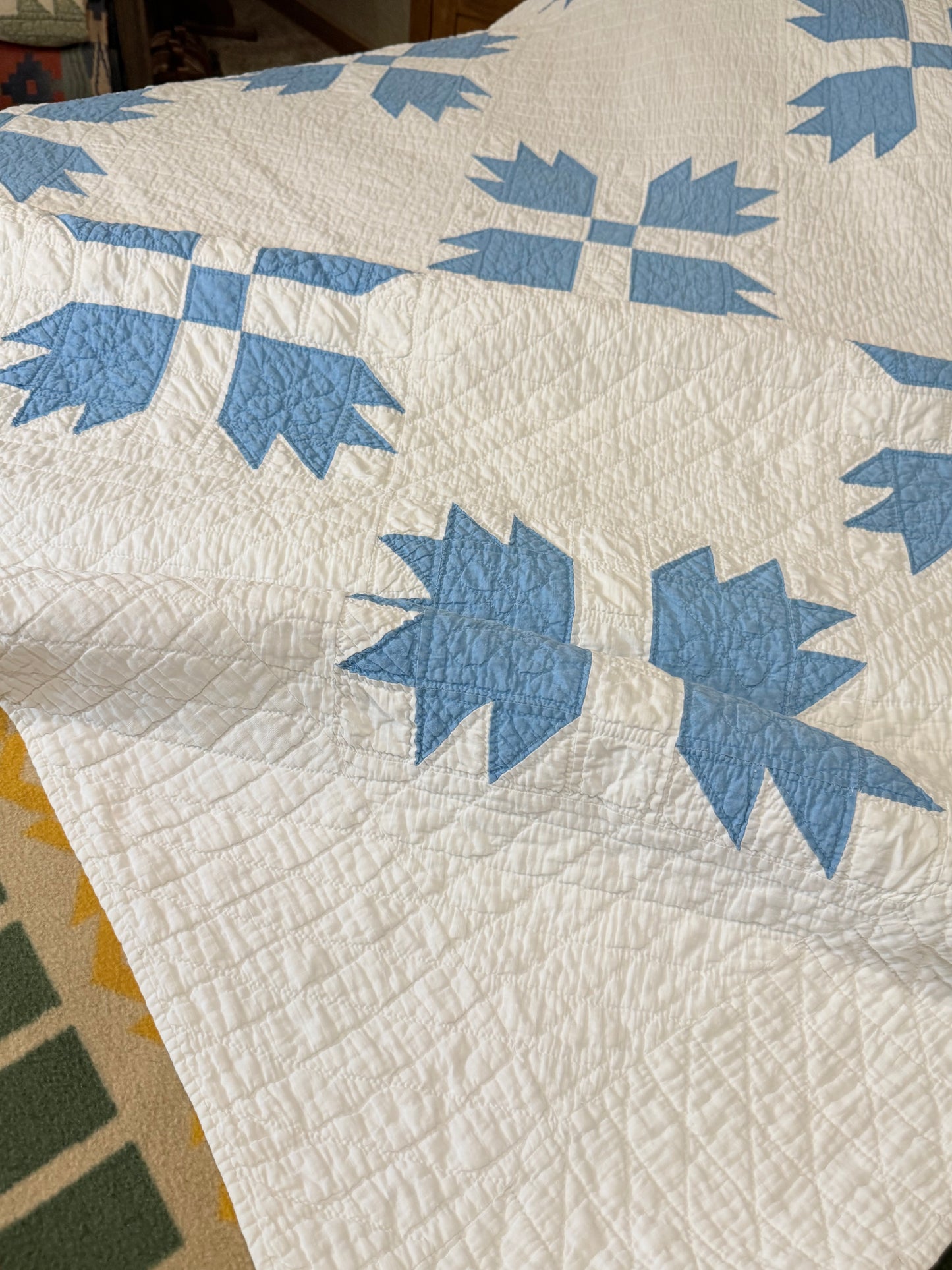 Blue and White Bear Paw Quilt