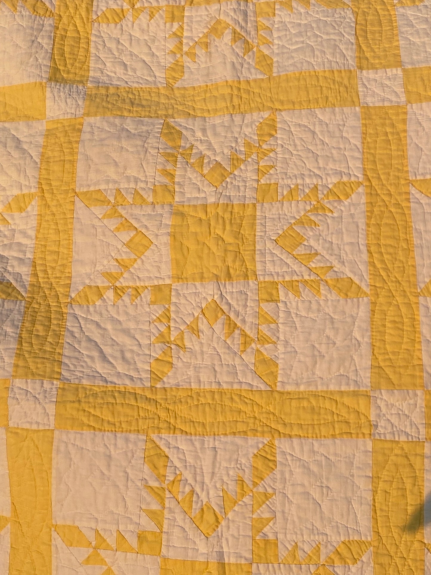 Beautiful Feathered Stars in yellow.