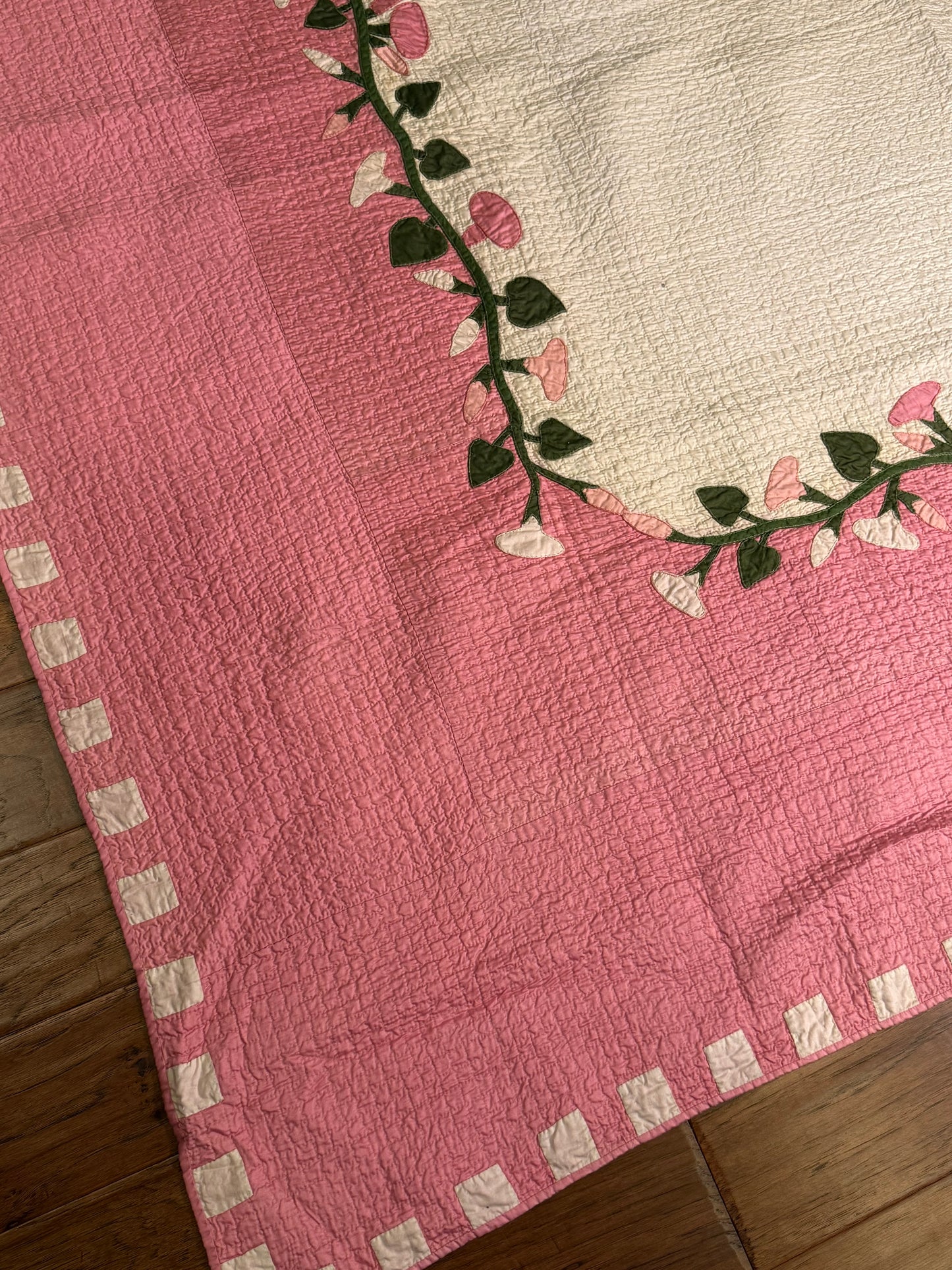 Morning Glory Appliqué Quilt with Blocks Border