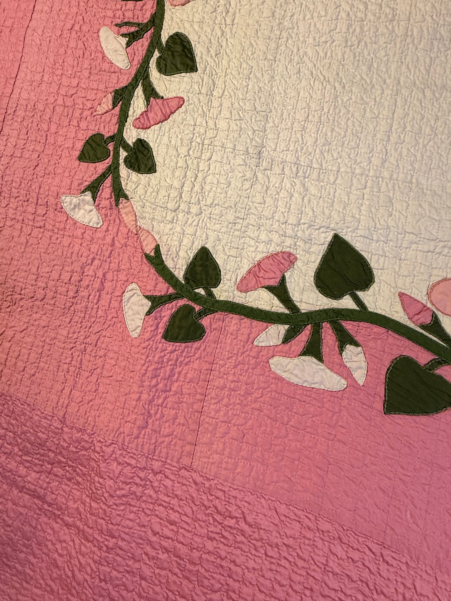 Morning Glory Appliqué Quilt with Blocks Border