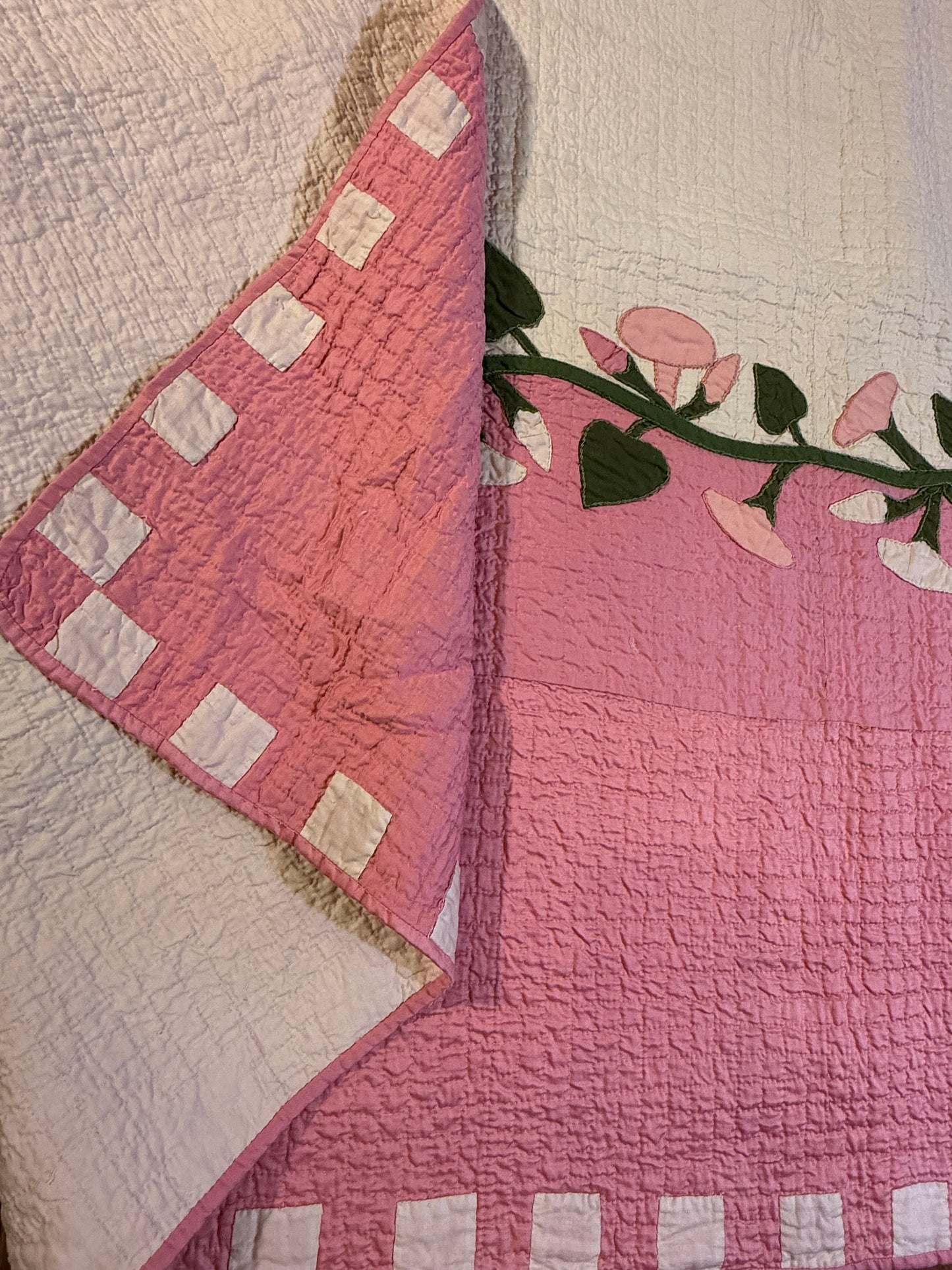 Morning Glory Appliqué Quilt with Blocks Border