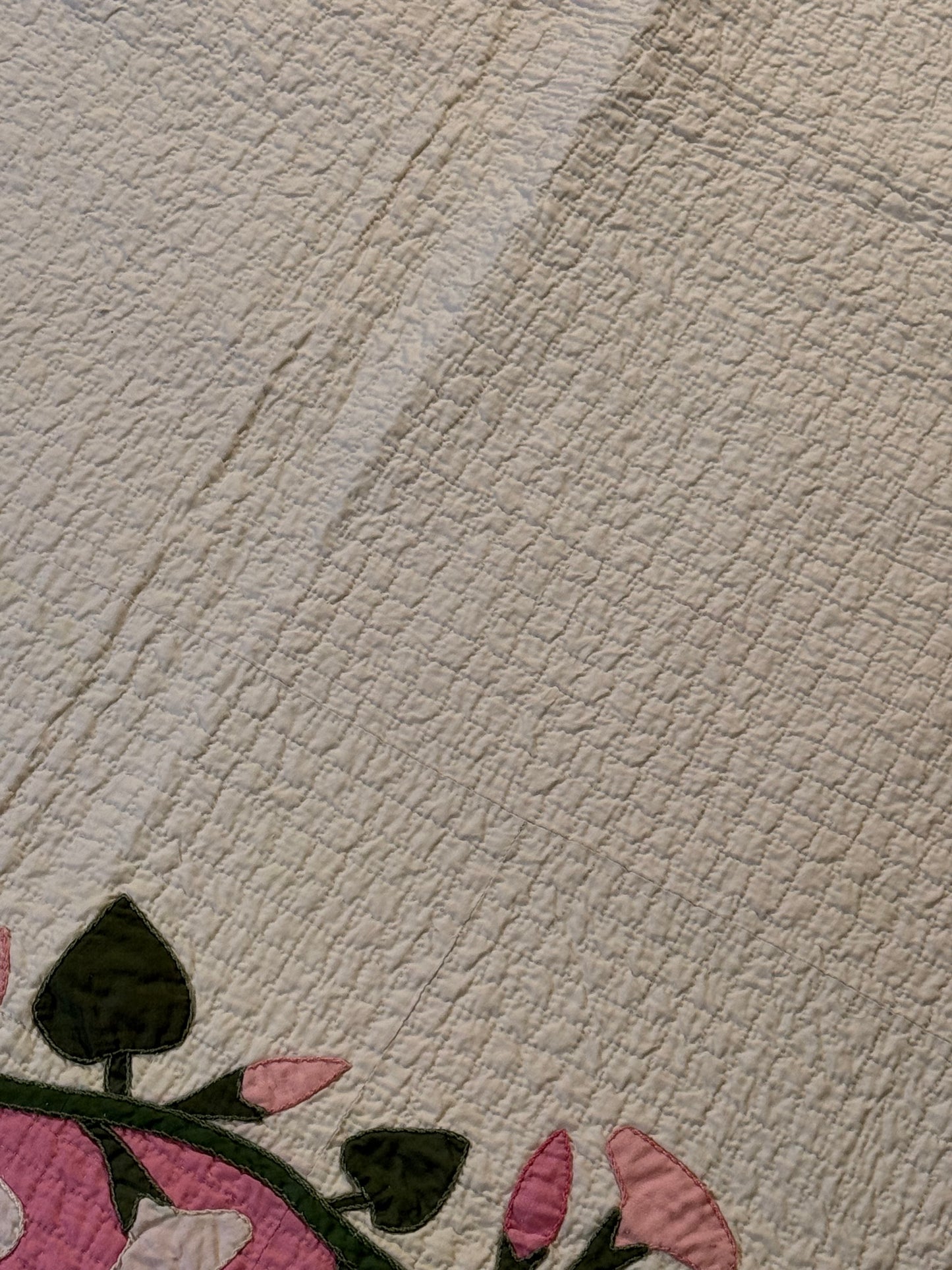 Morning Glory Appliqué Quilt with Blocks Border