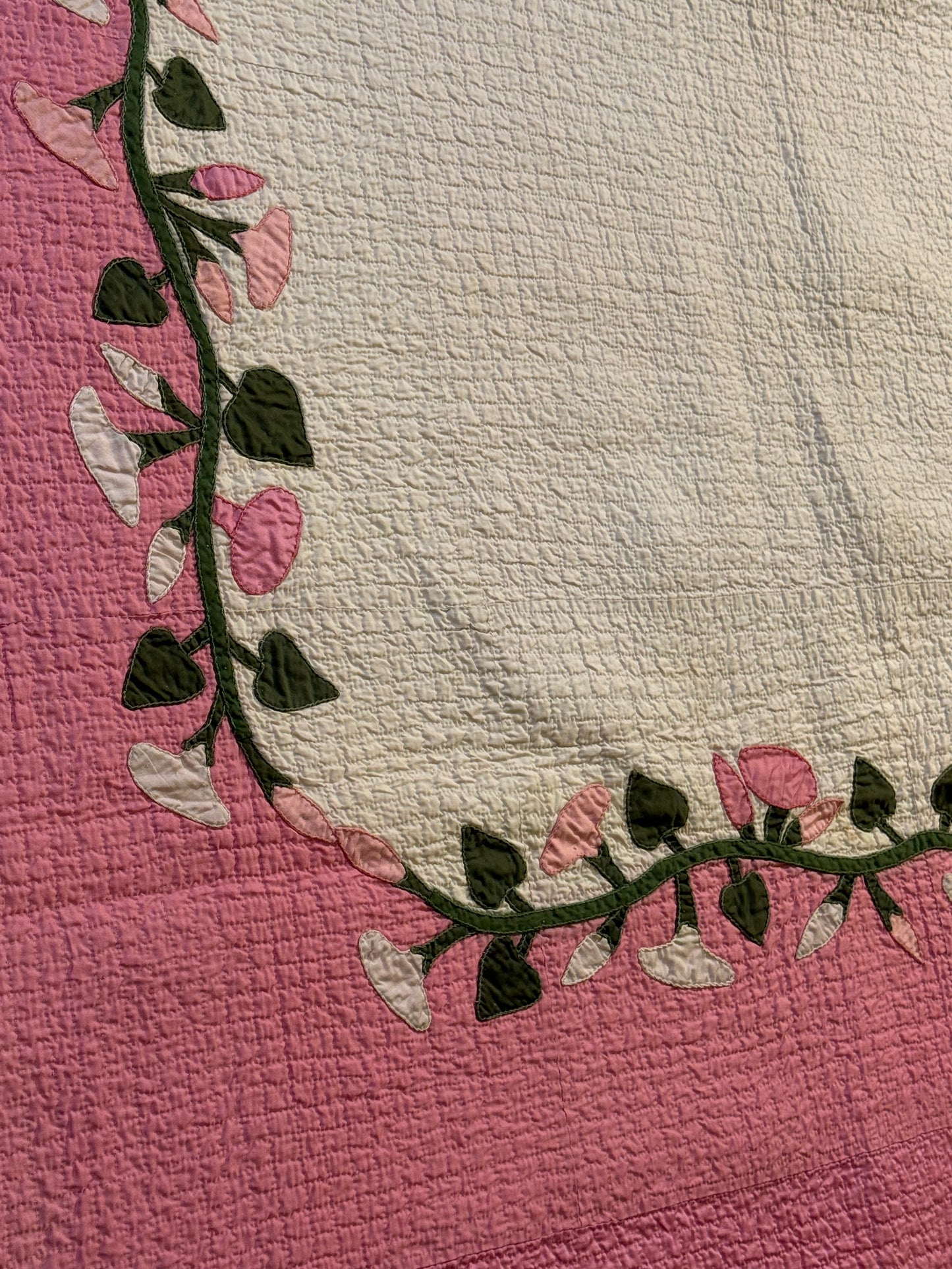 Morning Glory Appliqué Quilt with Blocks Border