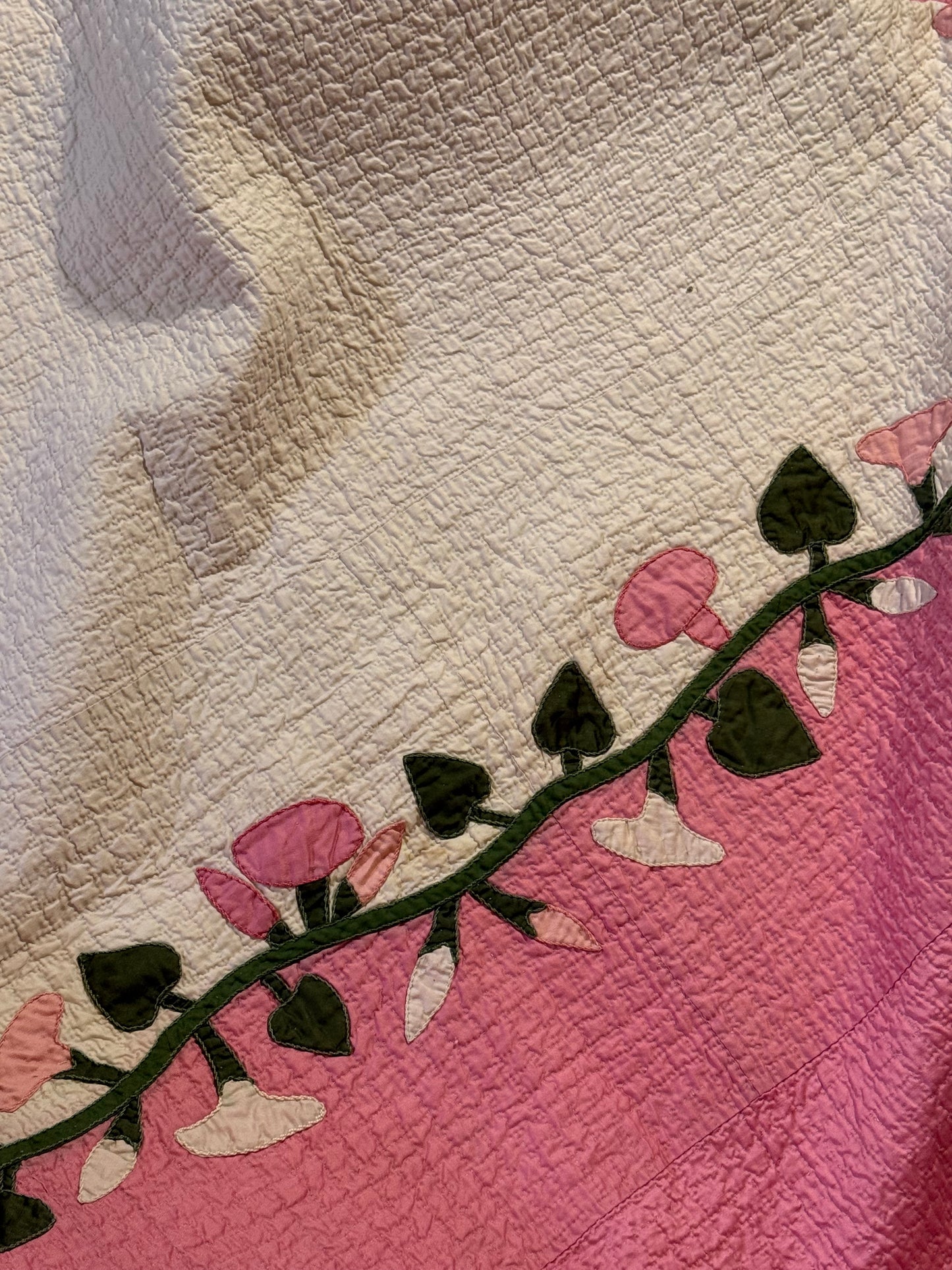 Morning Glory Appliqué Quilt with Blocks Border