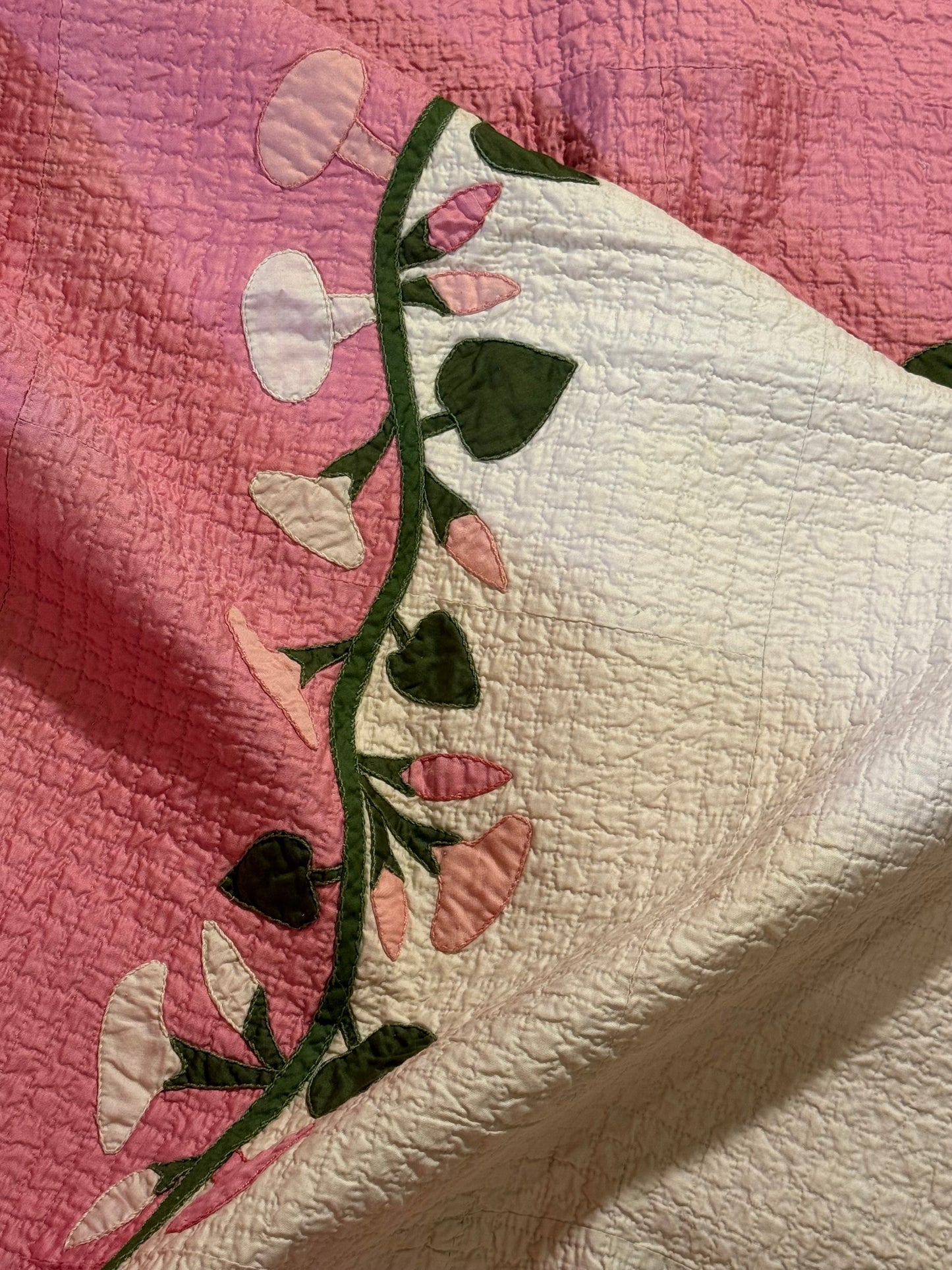 Morning Glory Appliqué Quilt with Blocks Border