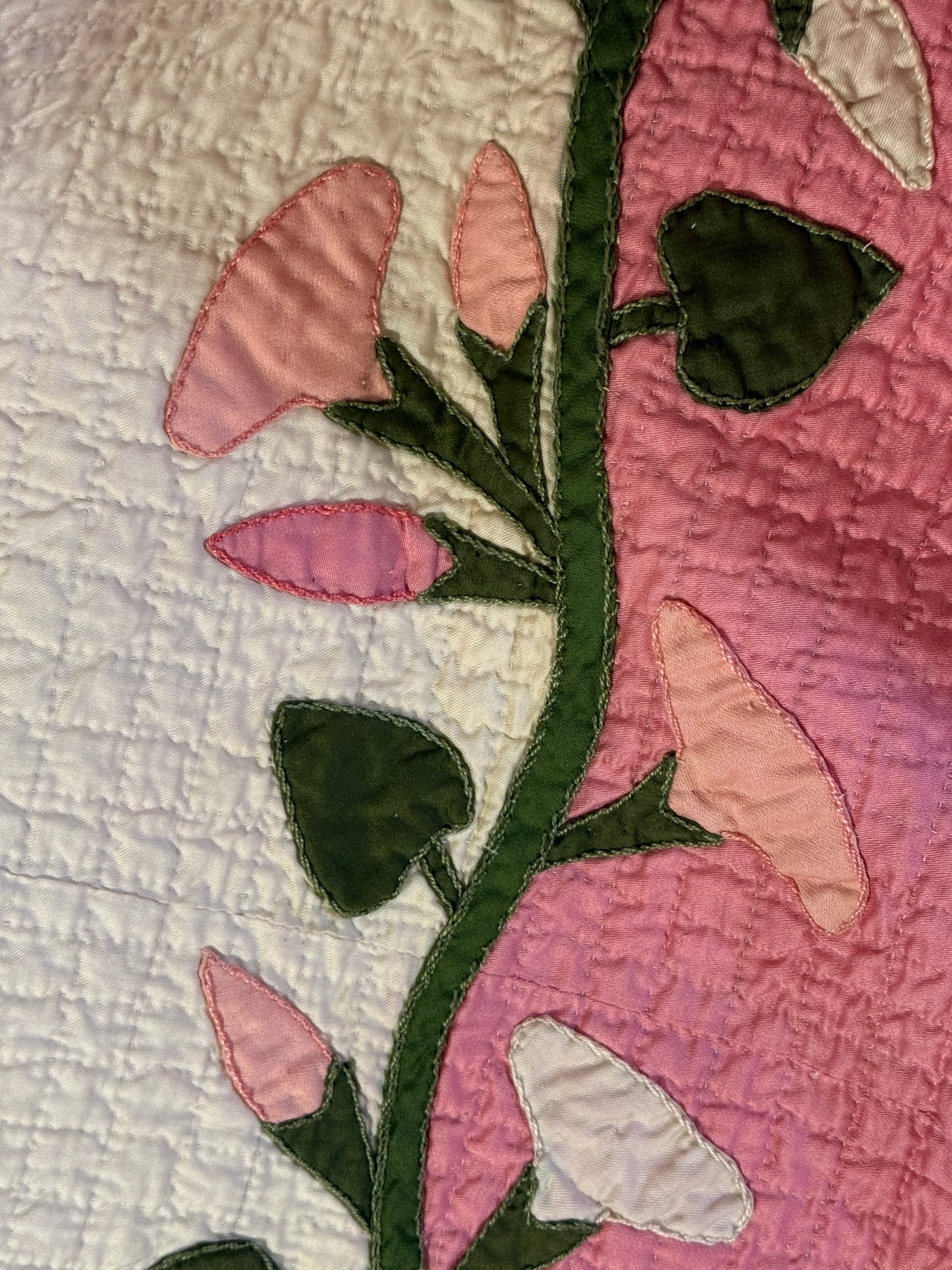 Morning Glory Appliqué Quilt with Blocks Border