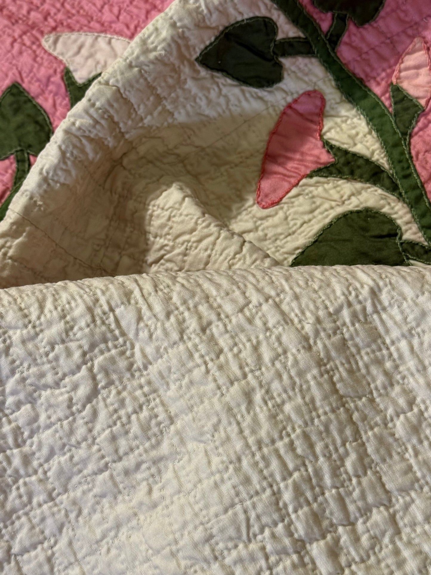 Morning Glory Appliqué Quilt with Blocks Border