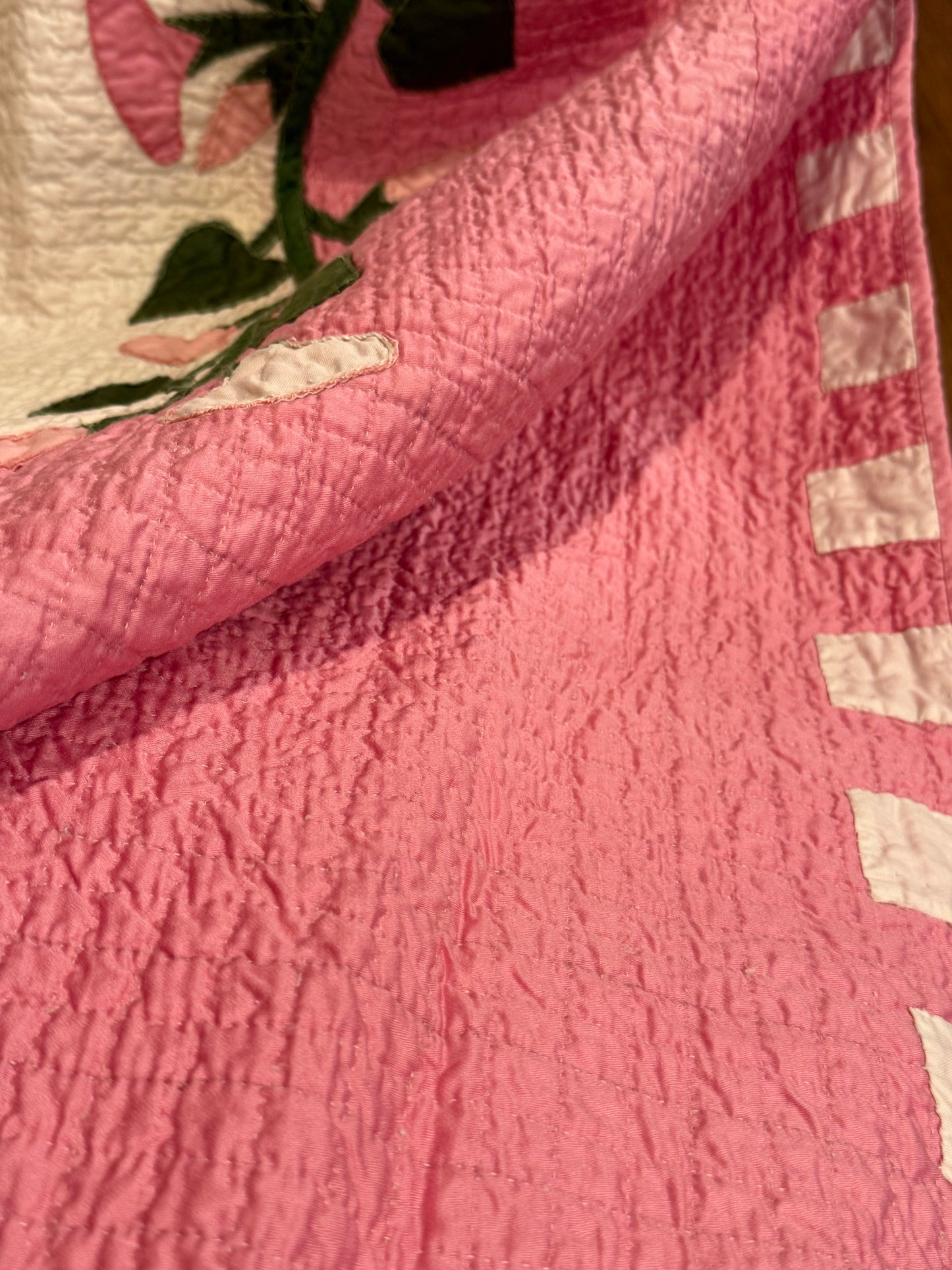 Morning Glory Appliqué Quilt with Blocks Border