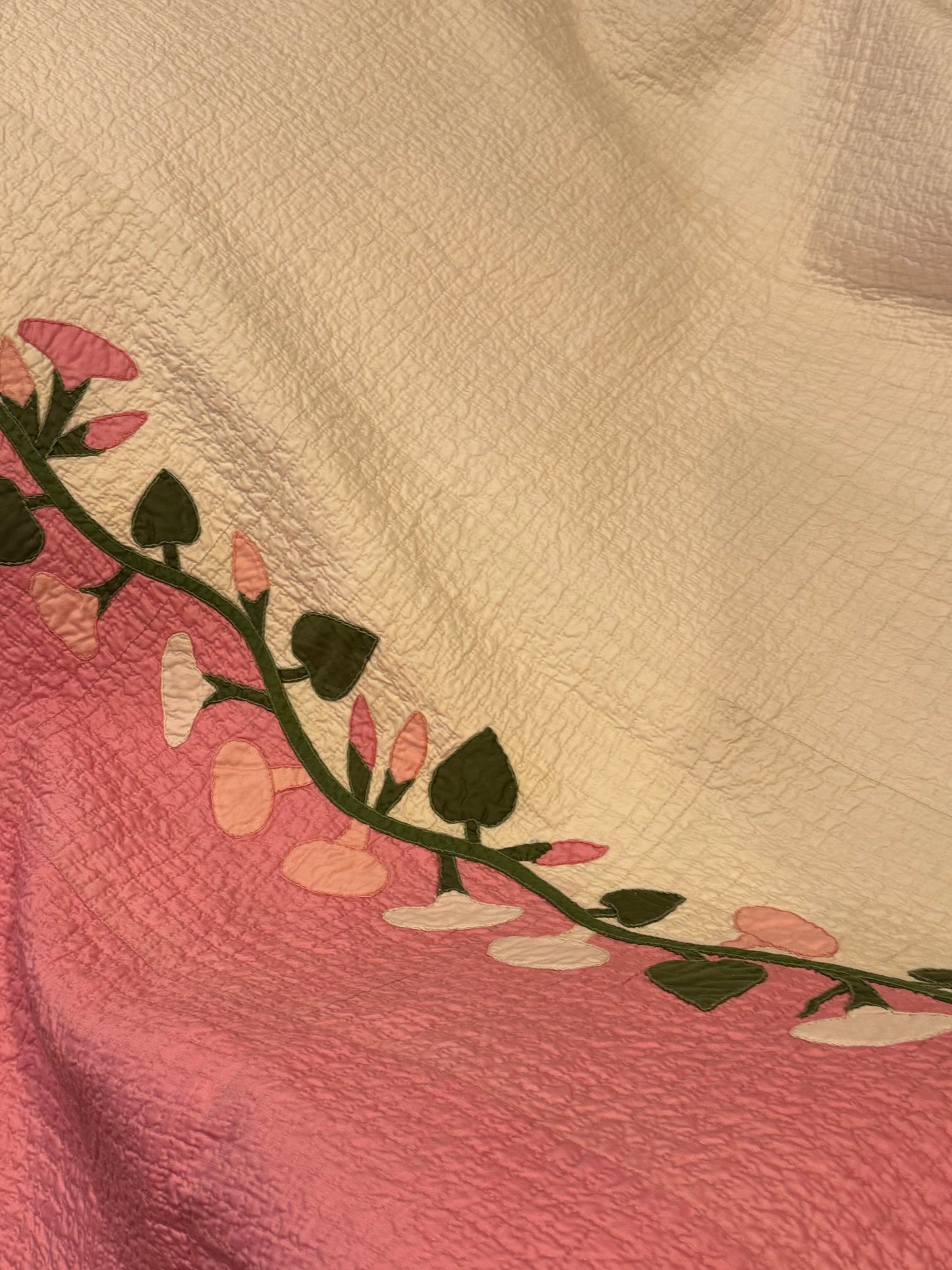 Morning Glory Appliqué Quilt with Blocks Border
