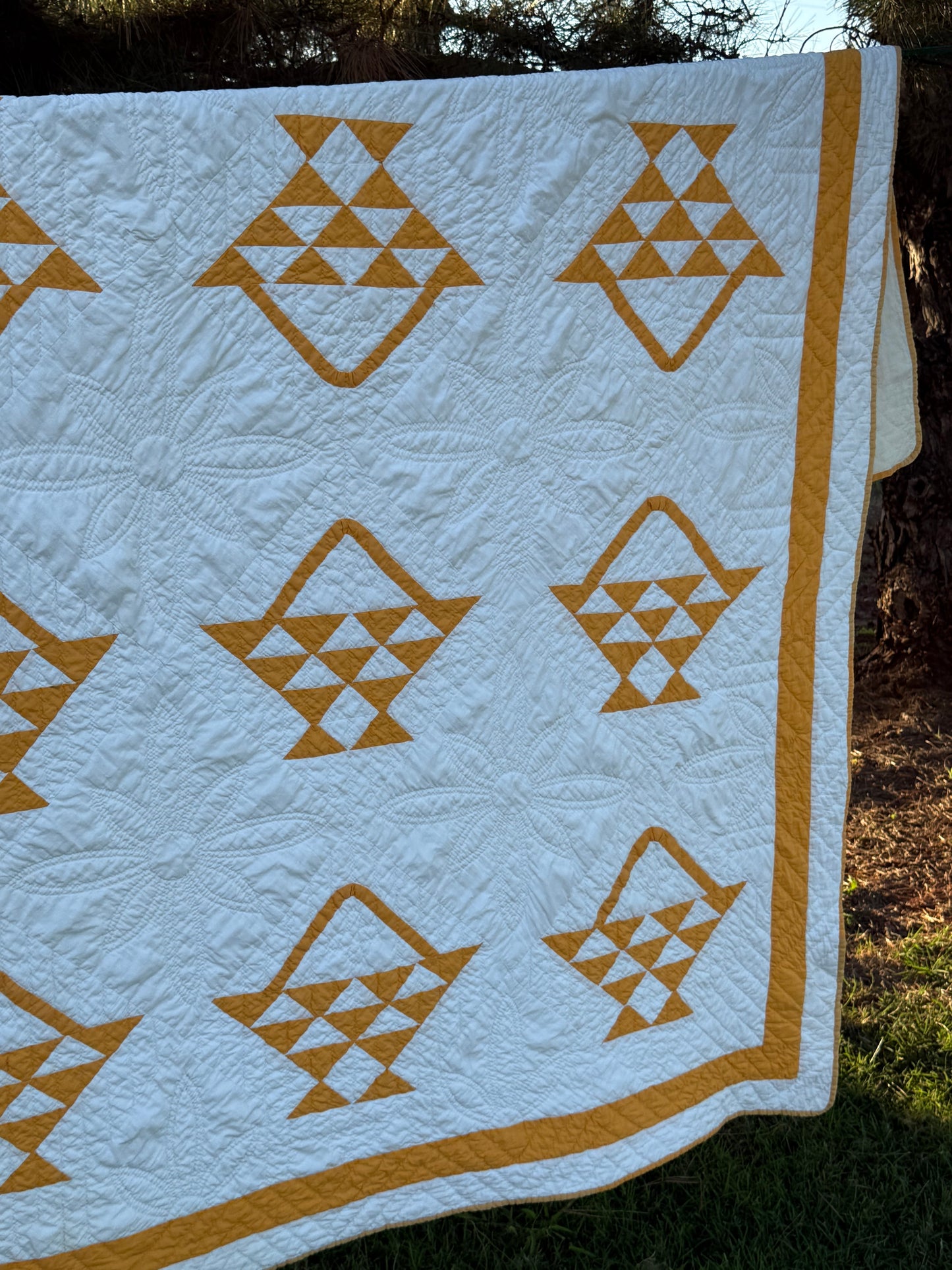 Pieced and Appliqué Basket Quilt