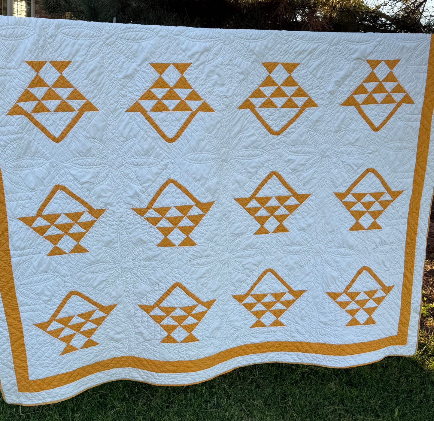Pieced and Appliqué Basket Quilt