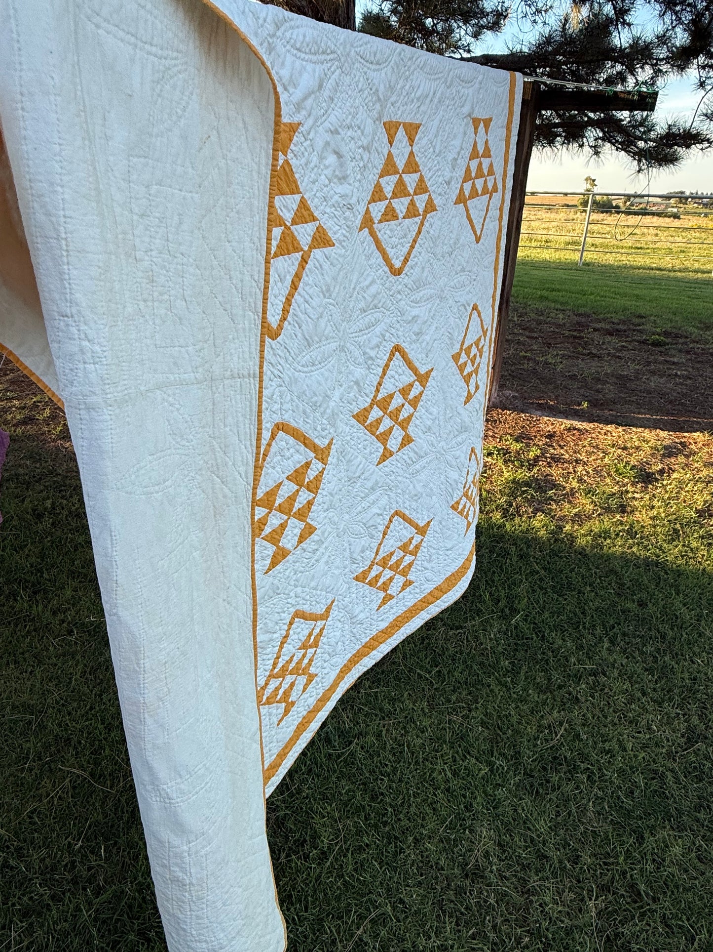 Pieced and Appliqué Basket Quilt