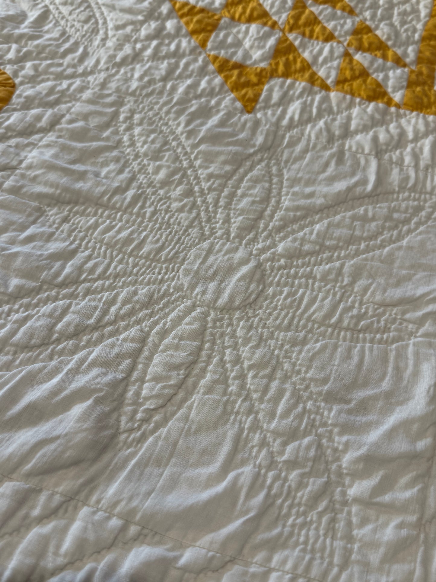 Pieced and Appliqué Basket Quilt