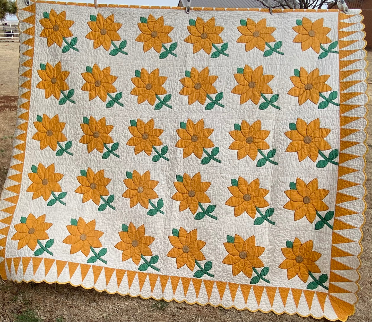 Daisy/Sunflowers Appliqué Quilt