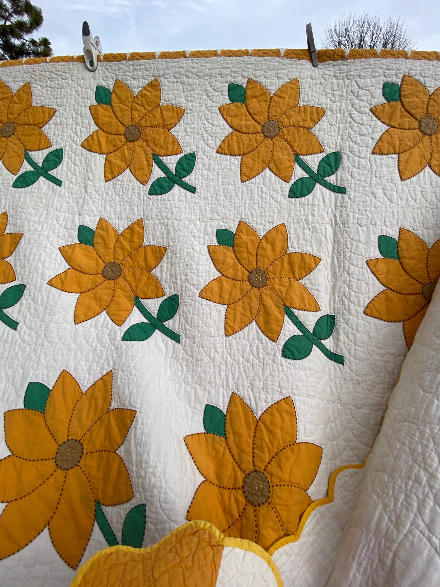 Daisy/Sunflowers Appliqué Quilt