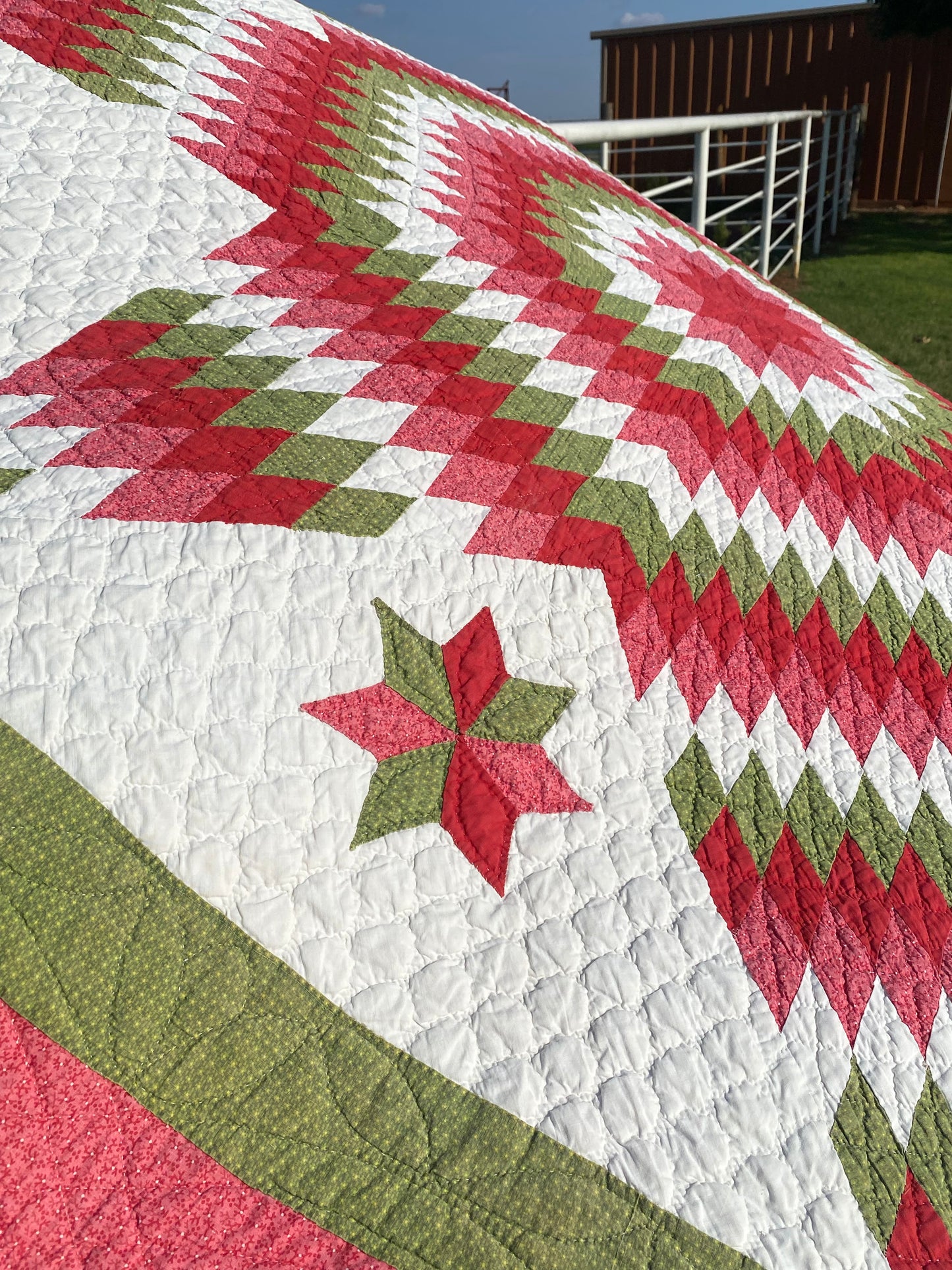 Reds, double pink, green on a white ground …