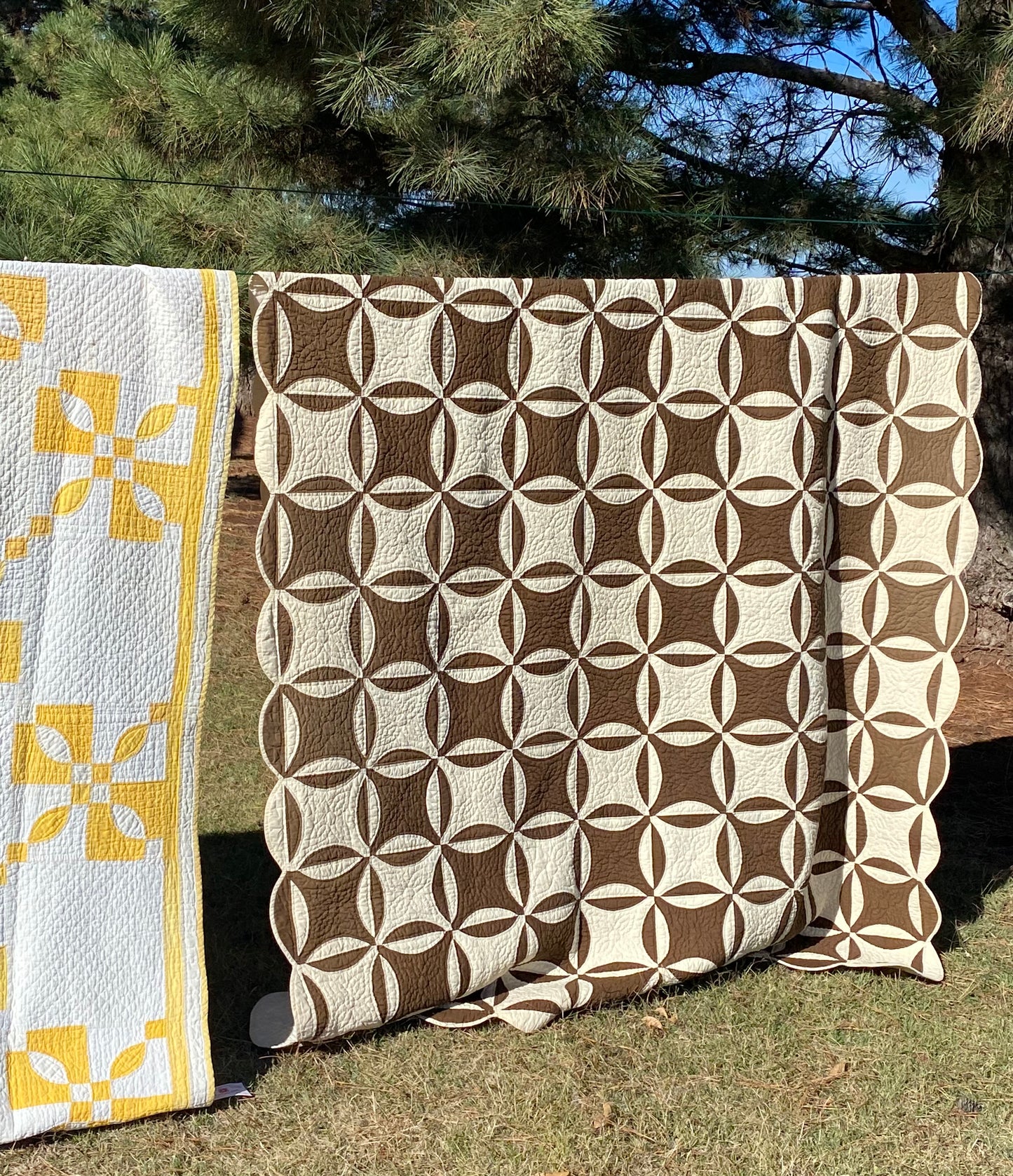 Robbing Peter To Pay Paul Quilt