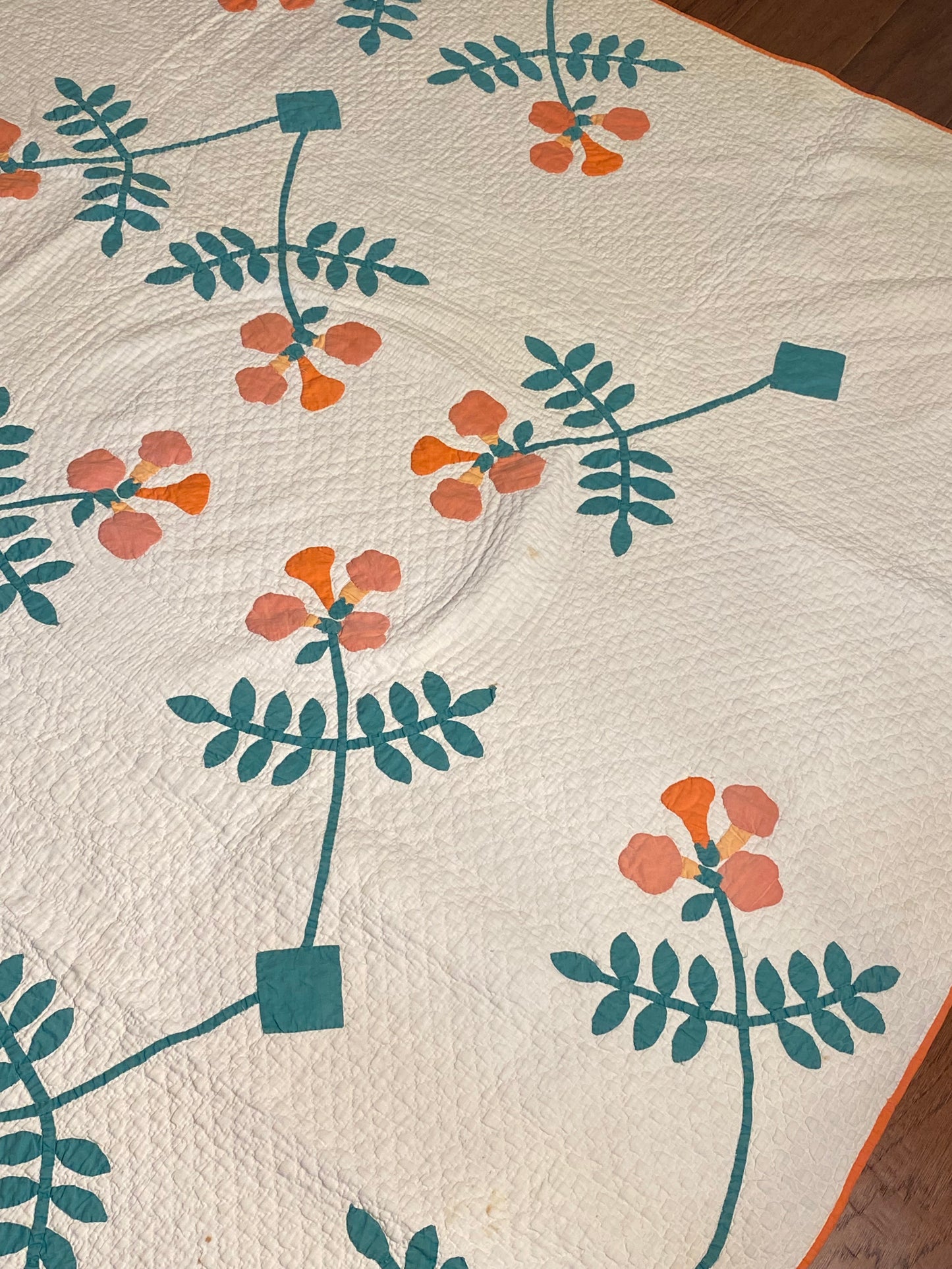 Trumpet Vines Mountain Mist Appliqué Quilt