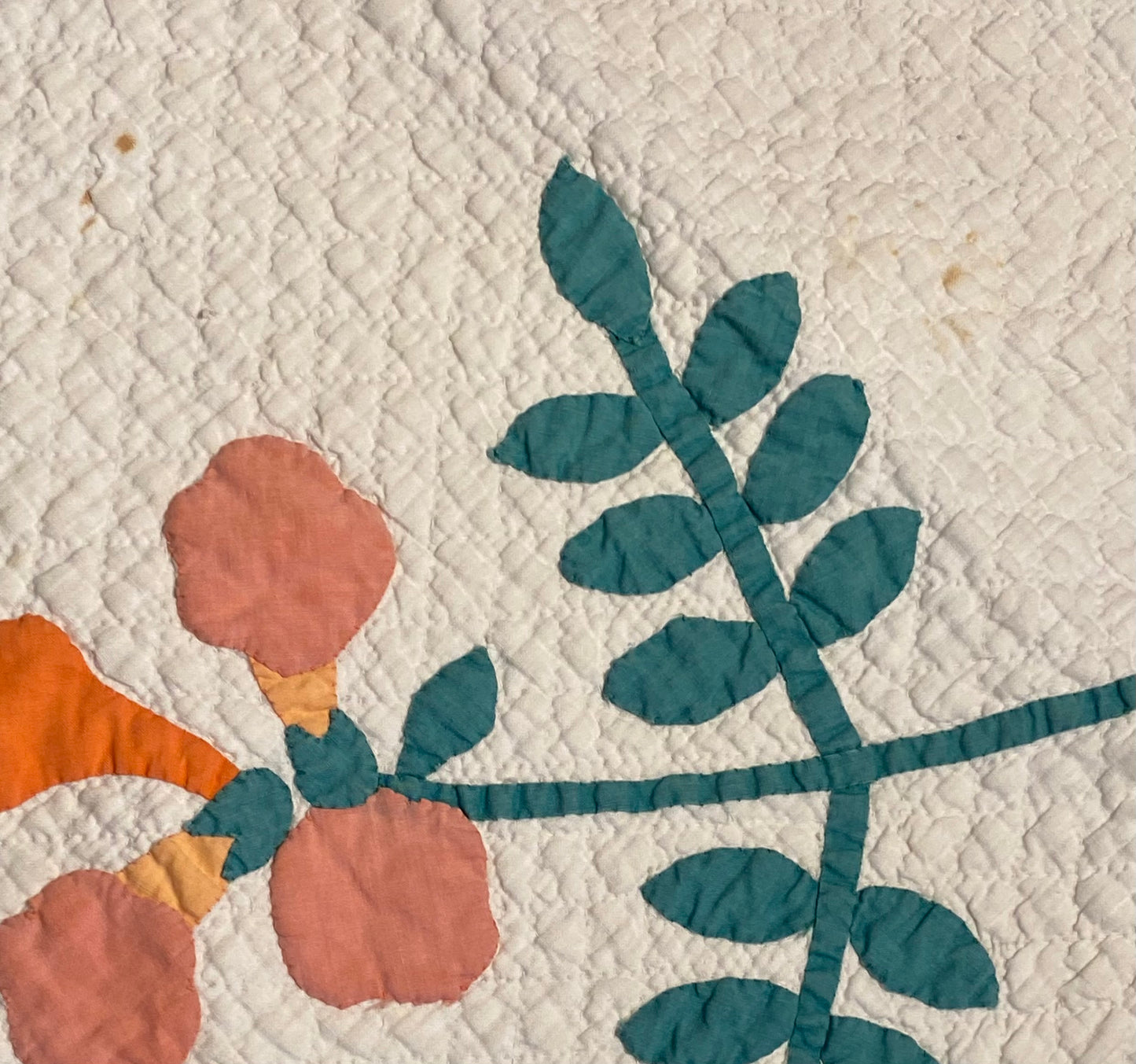Trumpet Vines Mountain Mist Appliqué Quilt