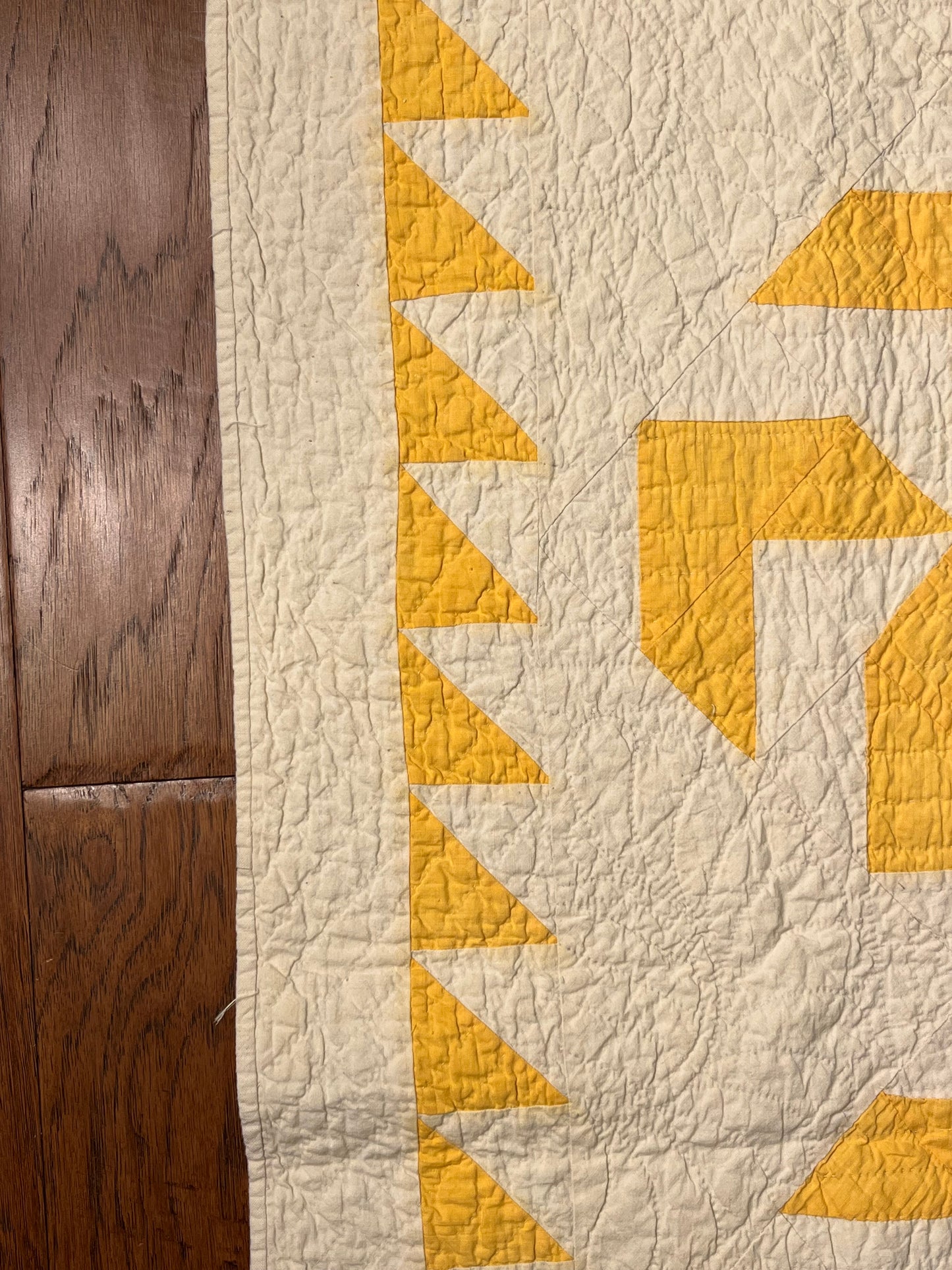 Flyfoot Quilt with Sawtooth Border