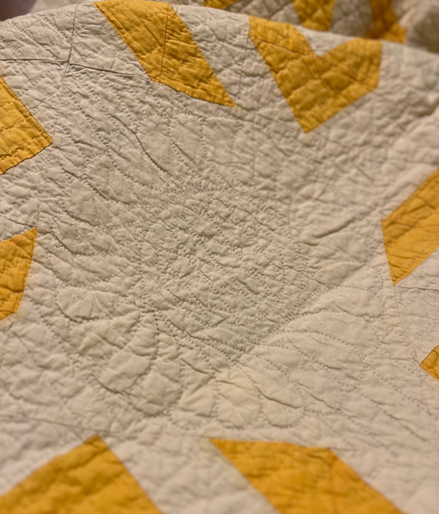 Flyfoot Quilt with Sawtooth Border