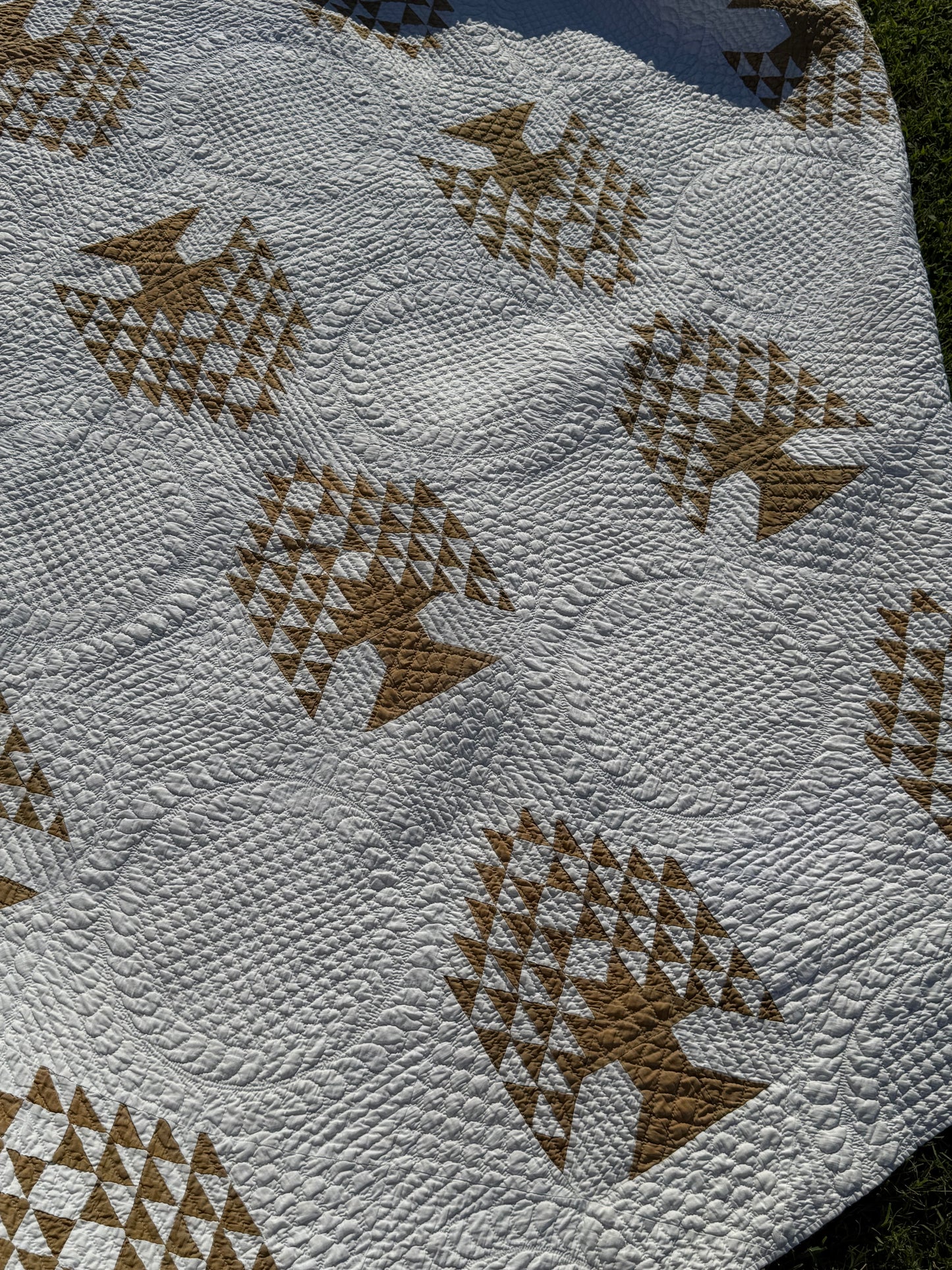 Tree of Paradise Quilt