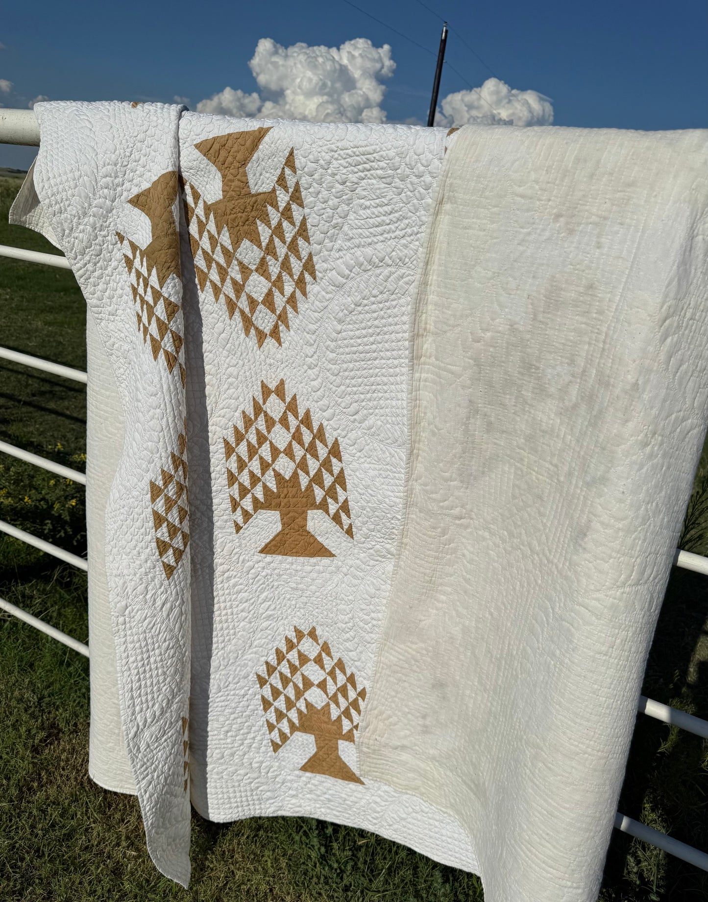 Tree of Paradise Quilt