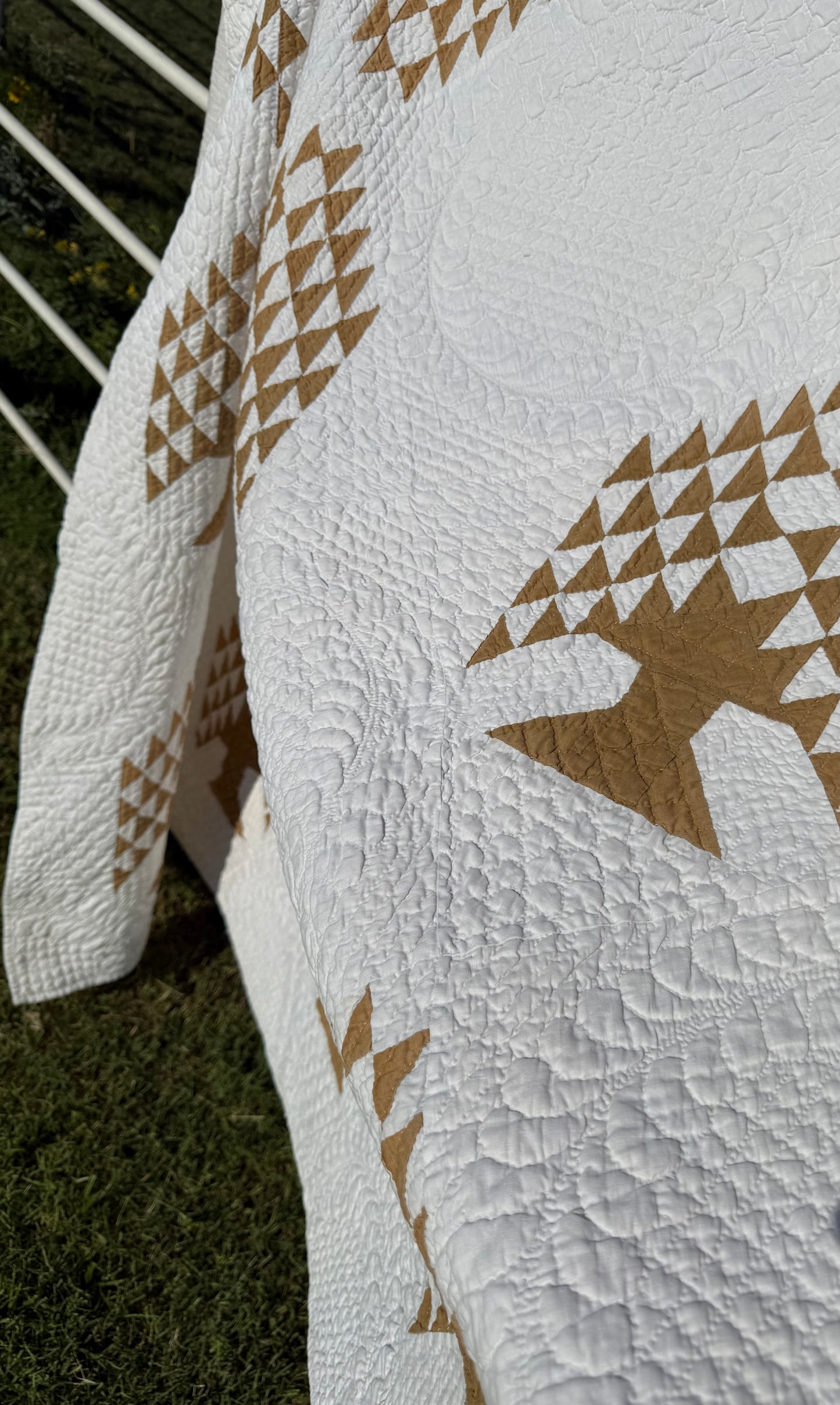 Tree of Paradise Quilt