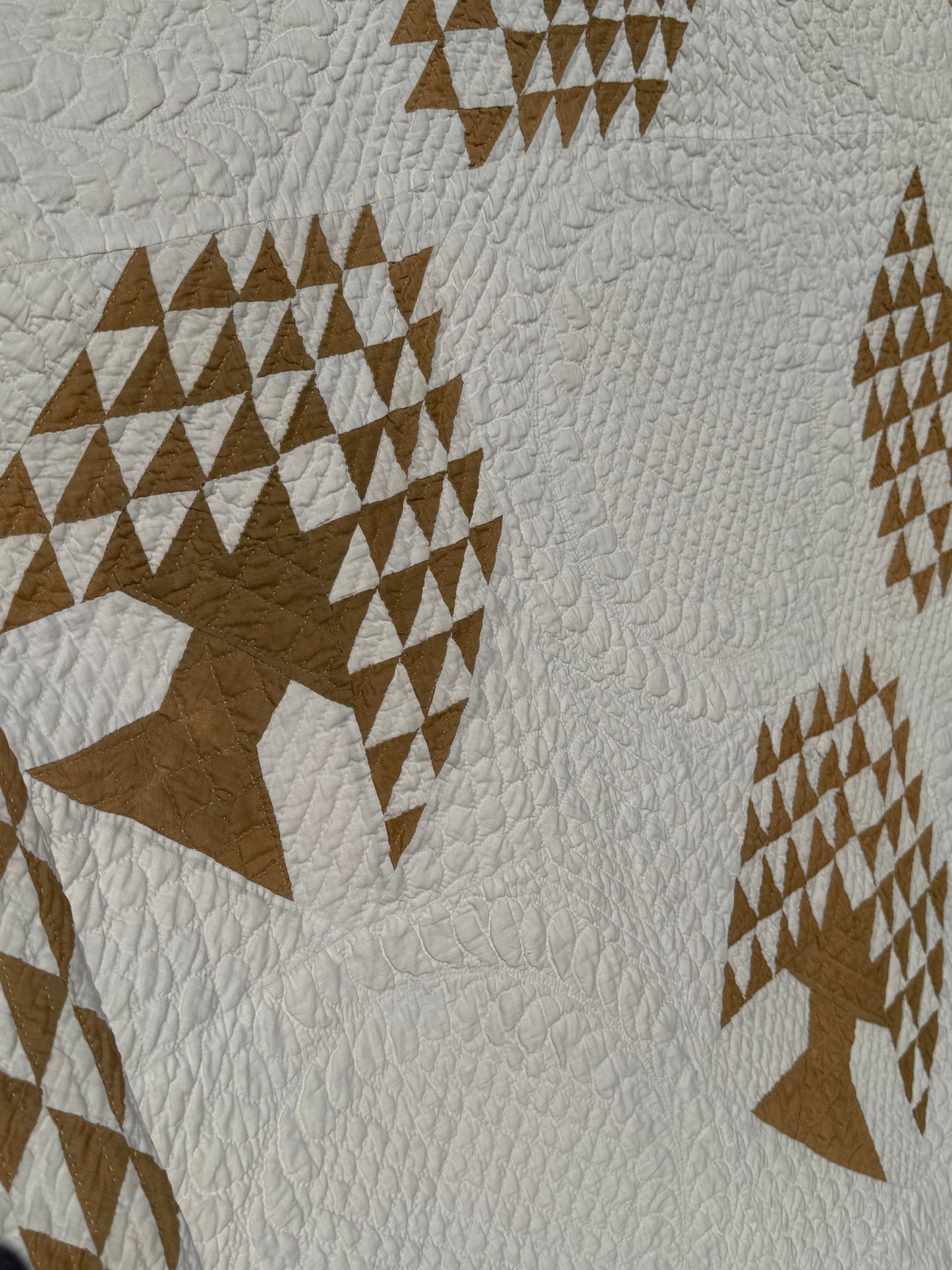 Tree of Paradise Quilt