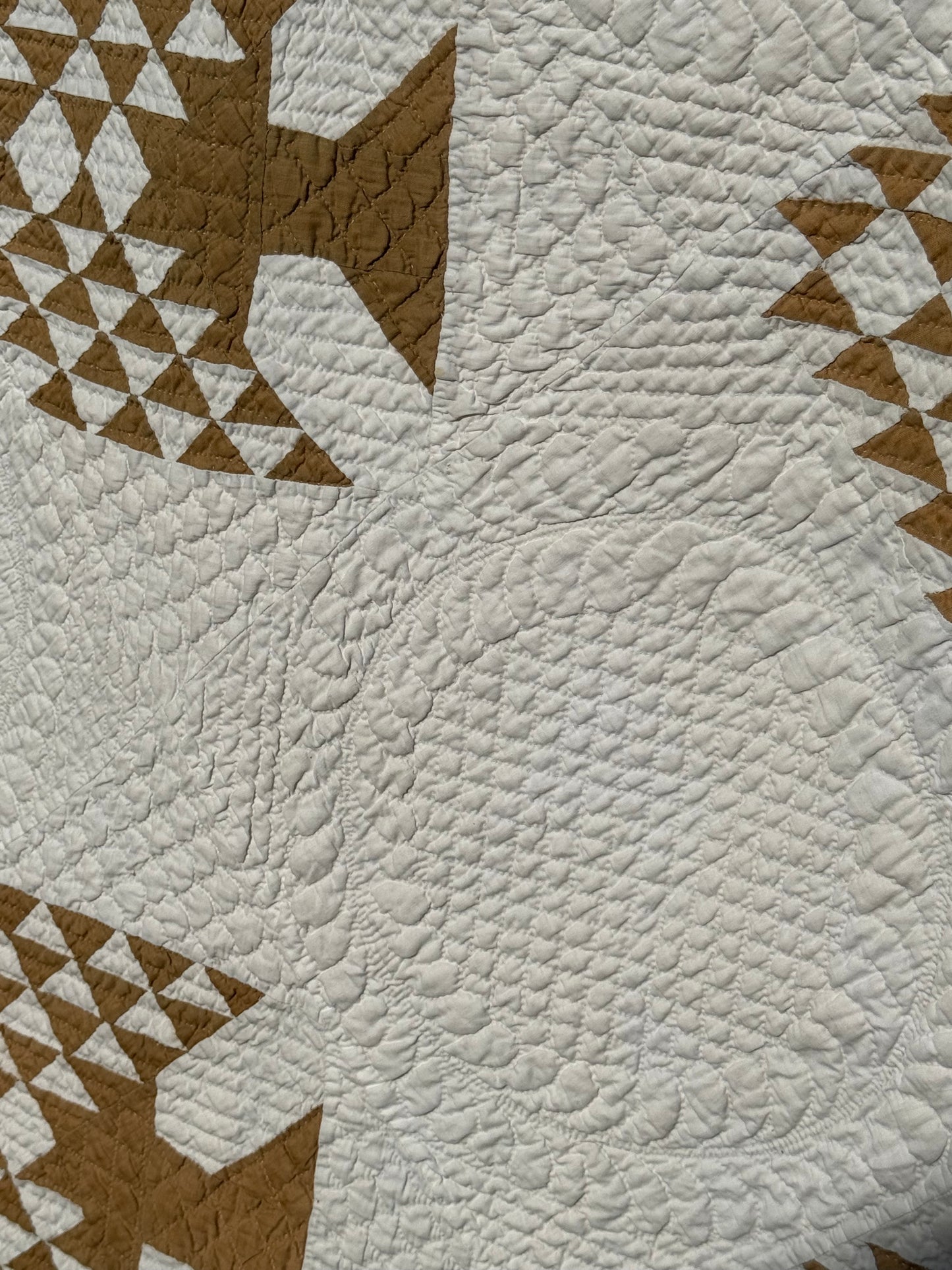 Tree of Paradise Quilt