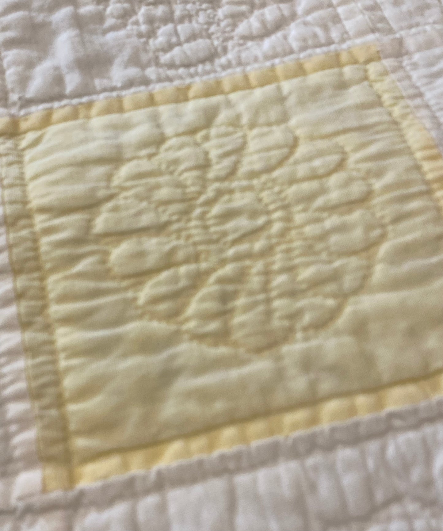 Dahlia Stars Quilt