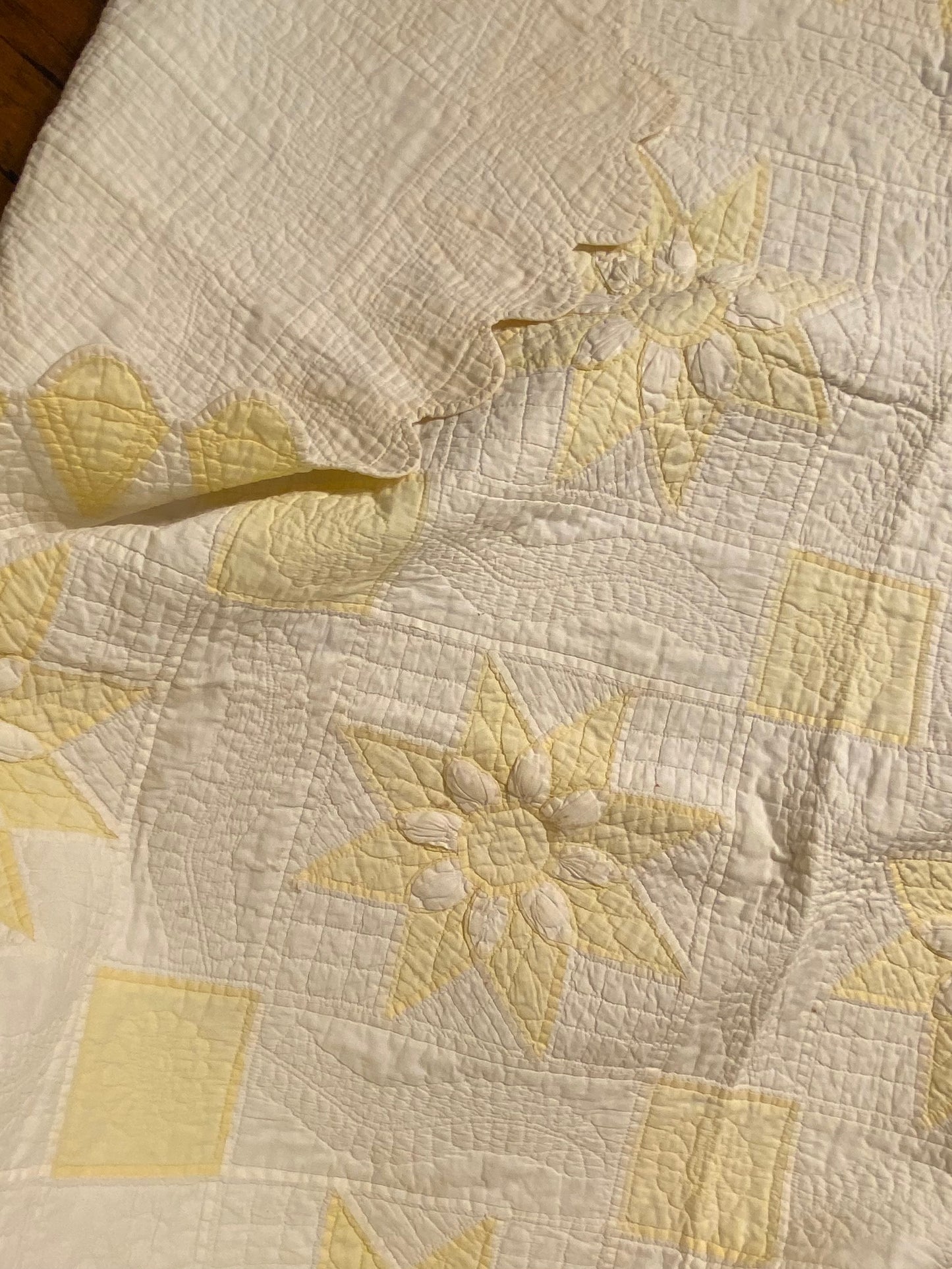 Dahlia Stars Quilt