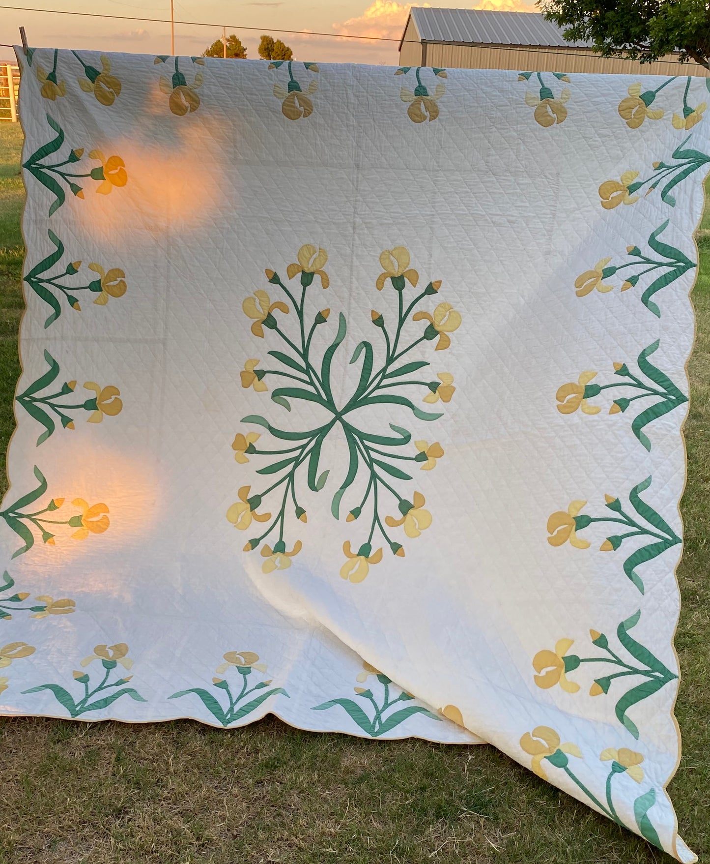 The Iris Quilt- Sold