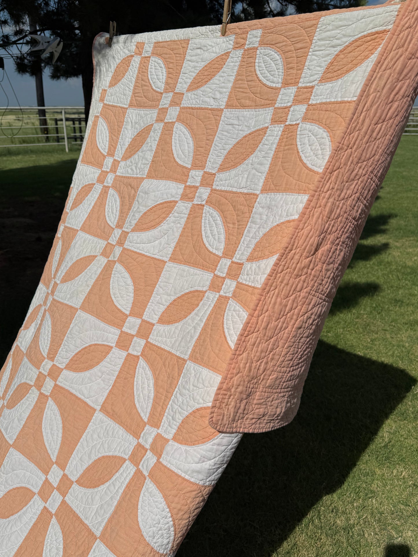 Rose Dream Quilt