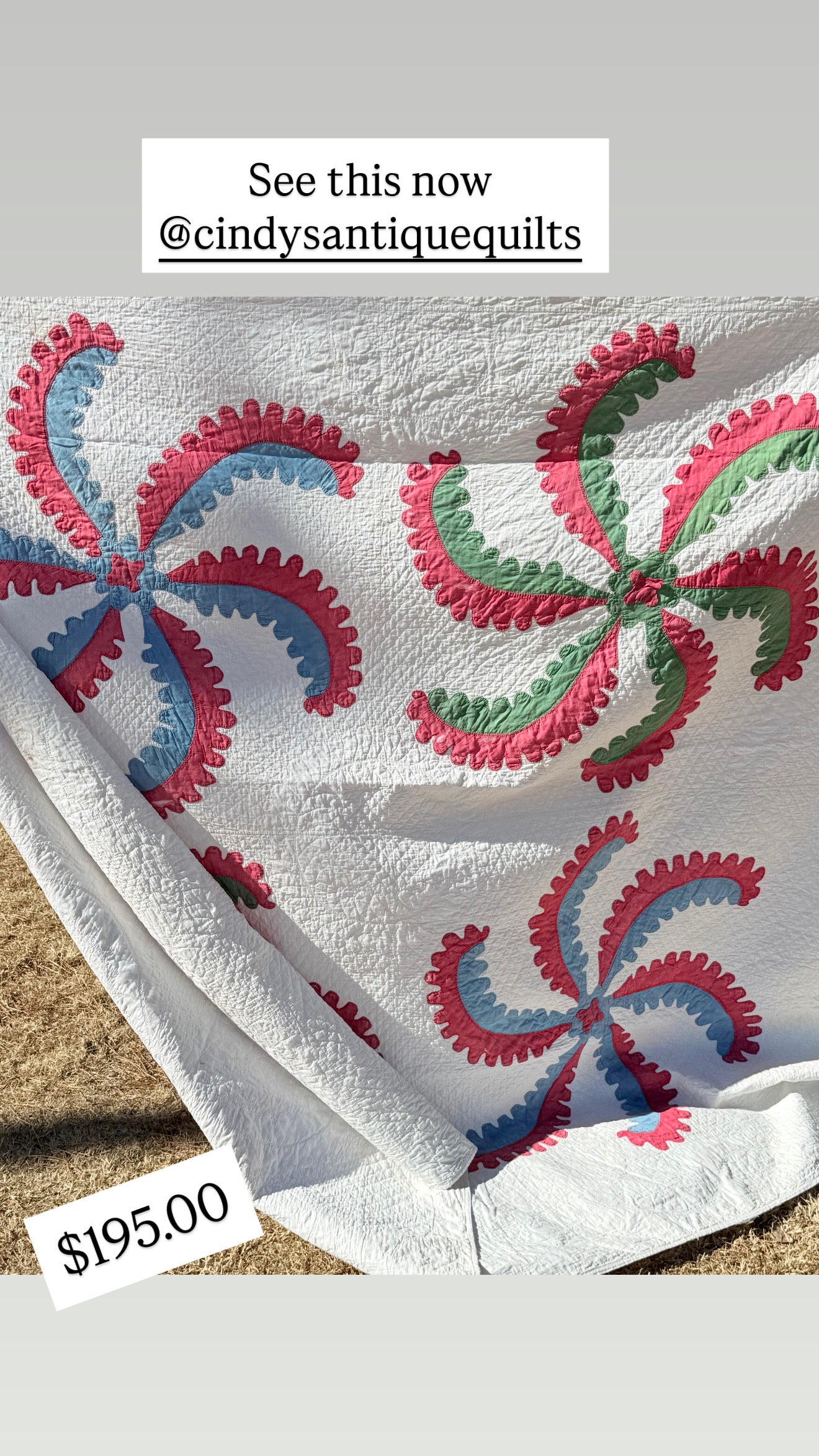 Princess Feather Appliqué  Quilt