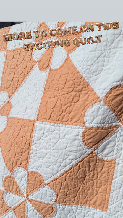 Dazzling Hearts and Gizzards Quilt