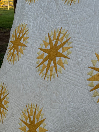 Mariners Compass Quilt