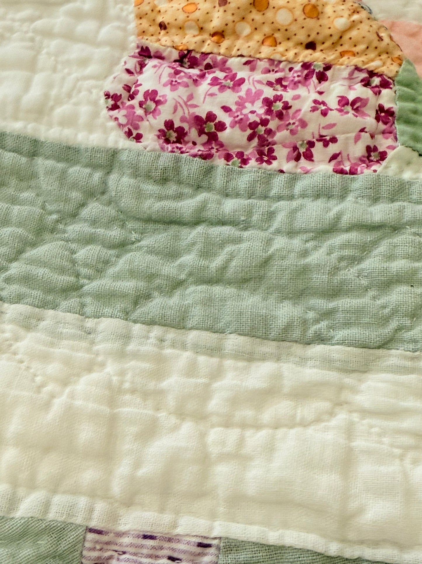 Dresden Plate with Rainbow Border Quilt