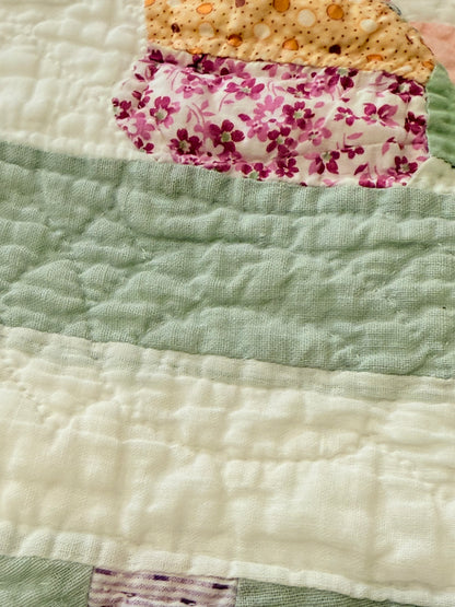 Dresden Plate with Rainbow Border Quilt