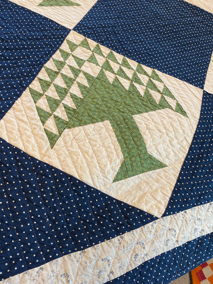 Pine Tree/Tree of Life Quilt