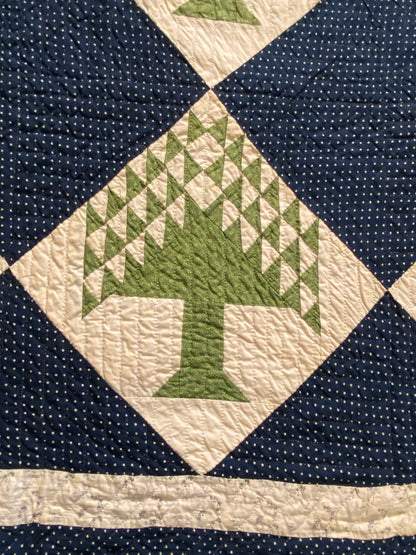 Pine Tree/Tree of Life Quilt