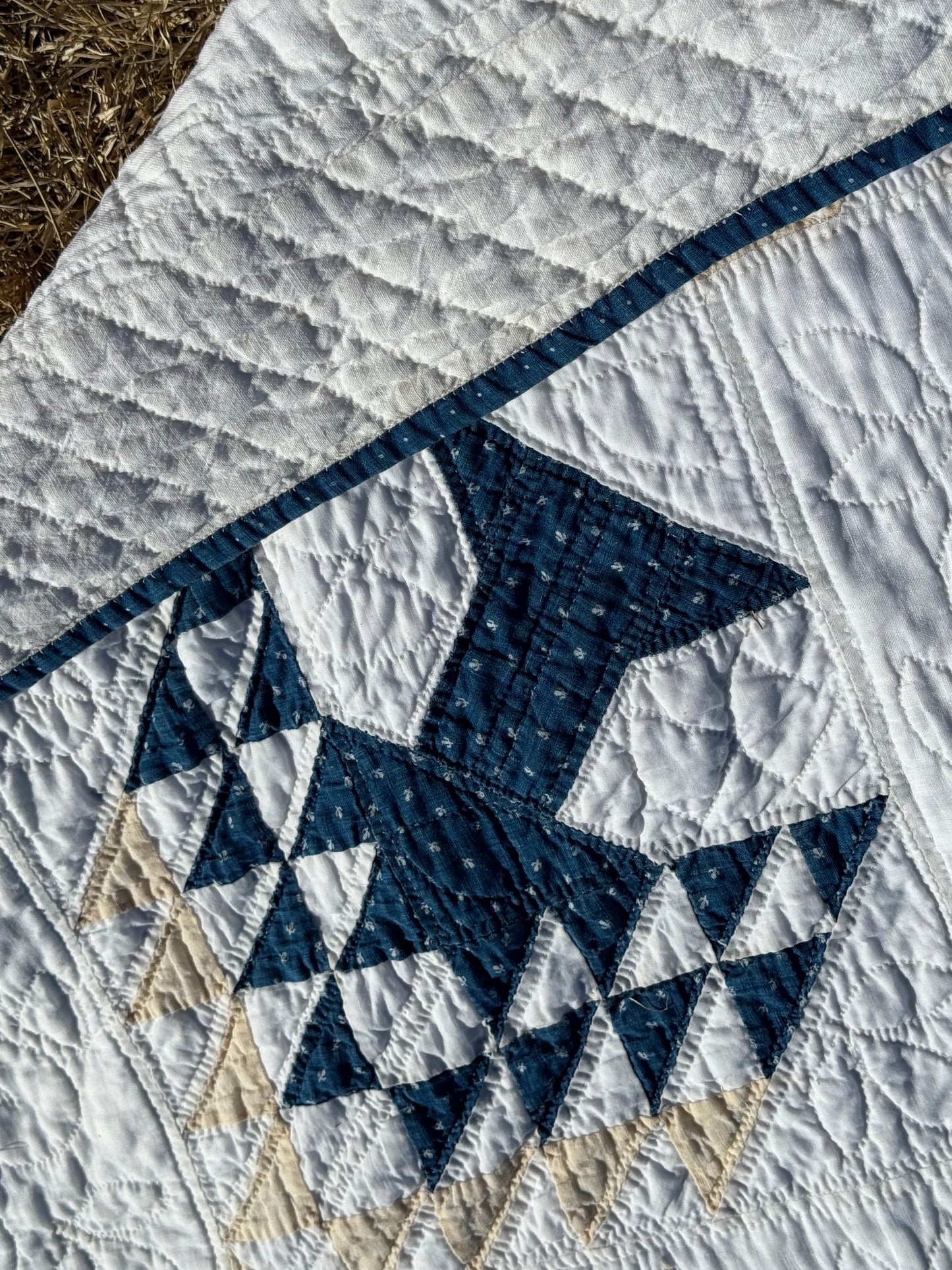 Tree of Life Antique Quilt
