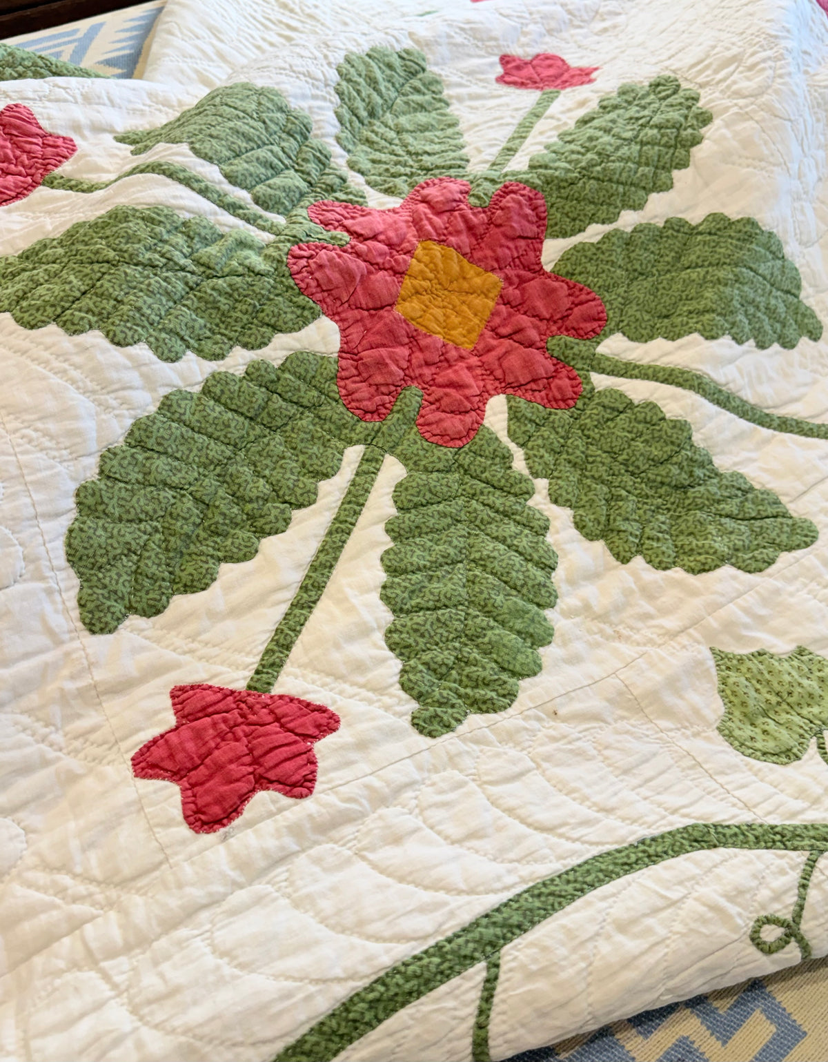 Virginia Rose Appliqué Quilt