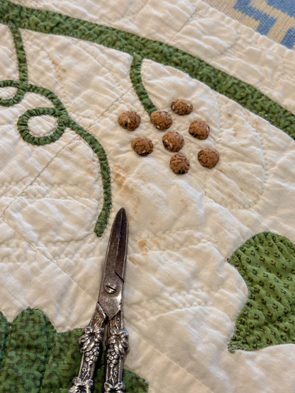 Virginia Rose Appliqué Quilt