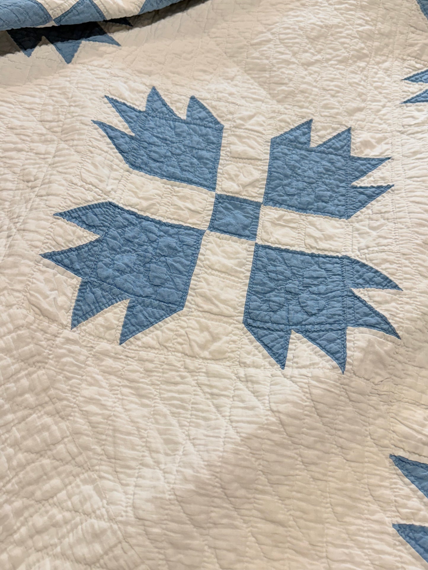 Blue and White Bear Paw Quilt