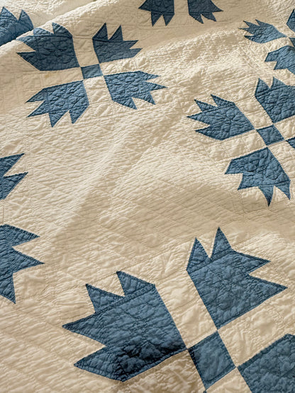 Blue and White Bear Paw Quilt