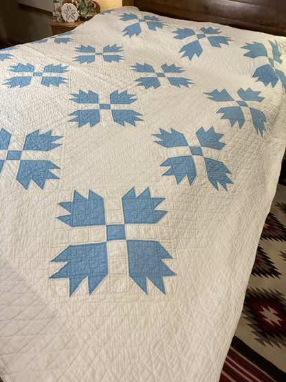 Blue and White Bear Paw Quilt